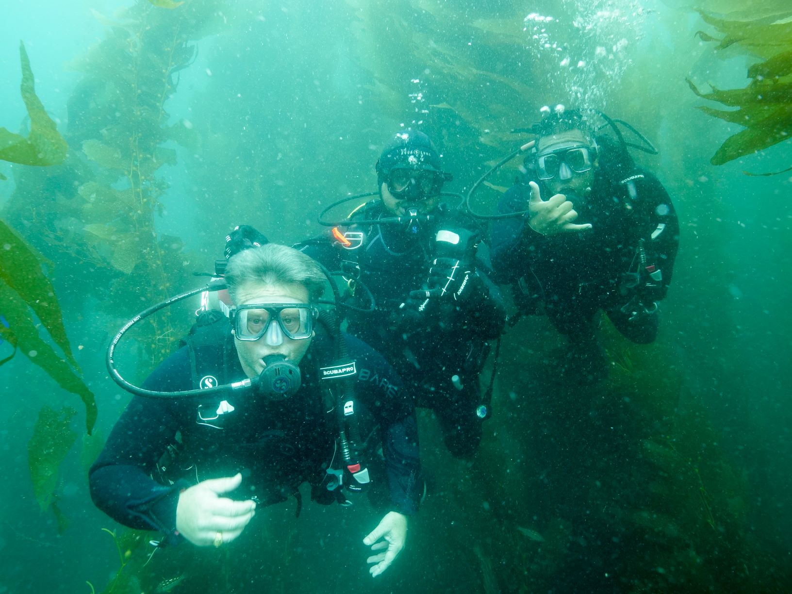Casino Point Dive Park photo 3