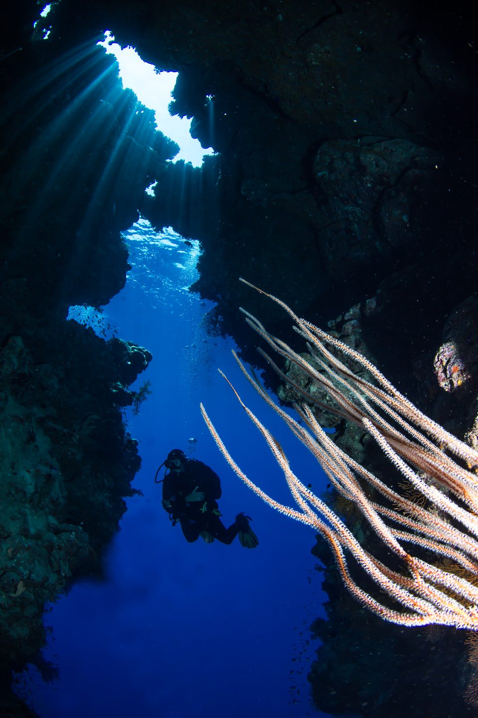 Ras Za'atar - Ras Mohammed photo 2