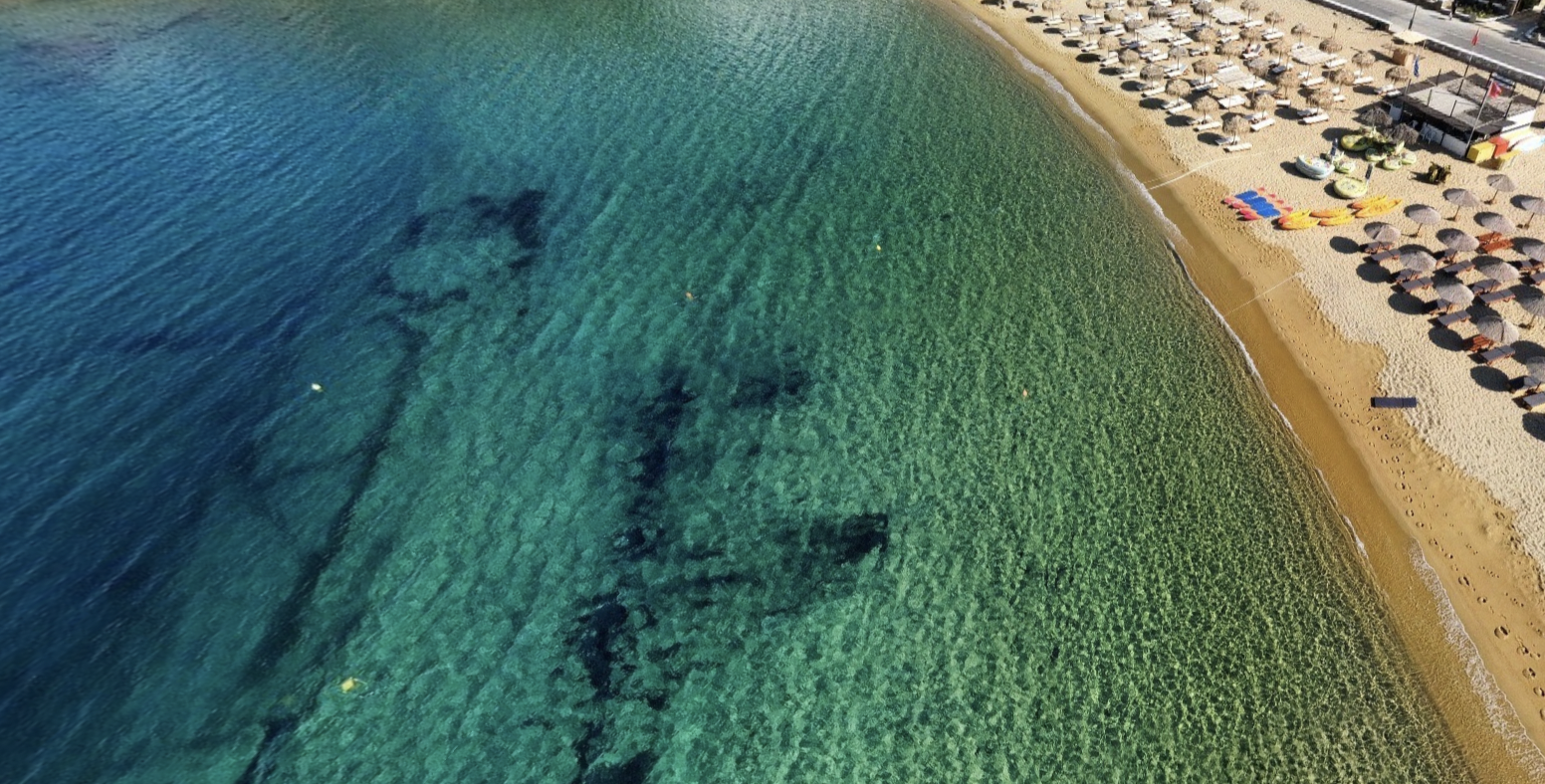 Mylopotas shore Reef