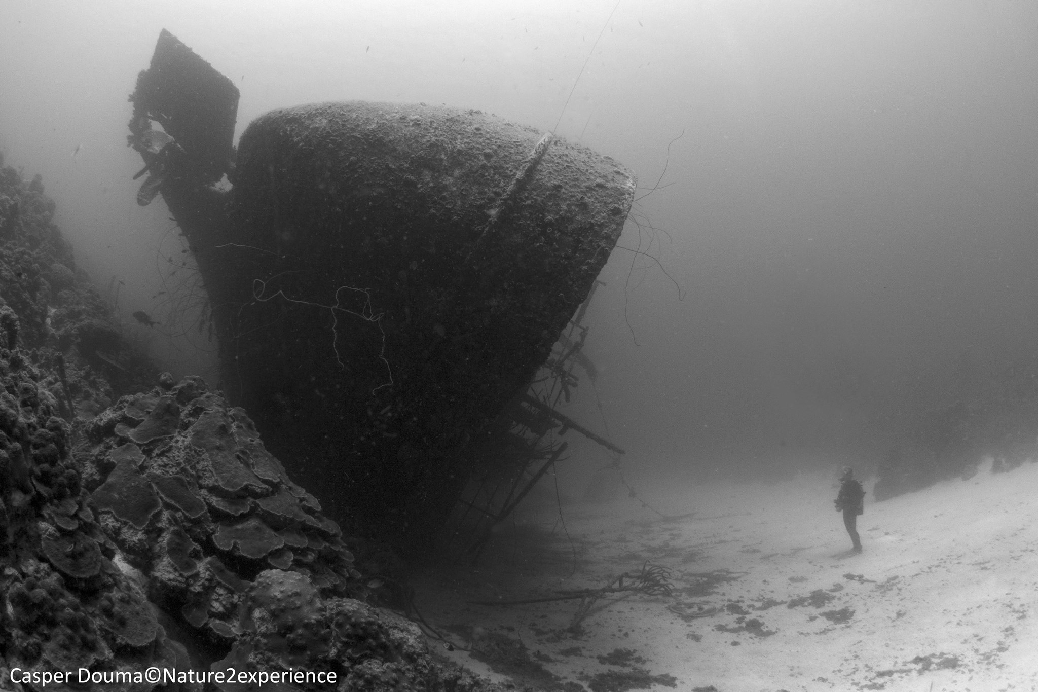 Hilma Hooker photo 2