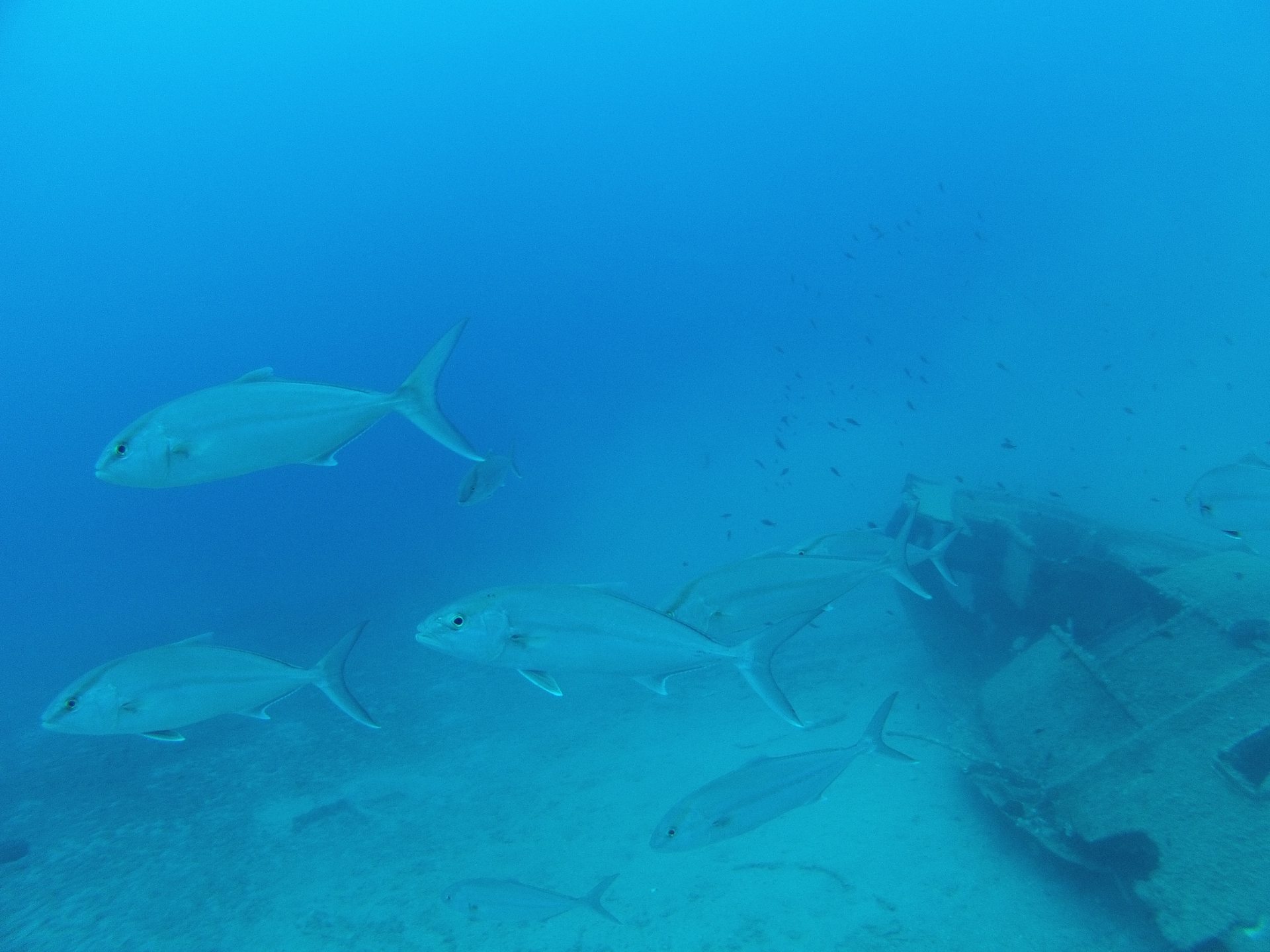 "Mantigo wreck"