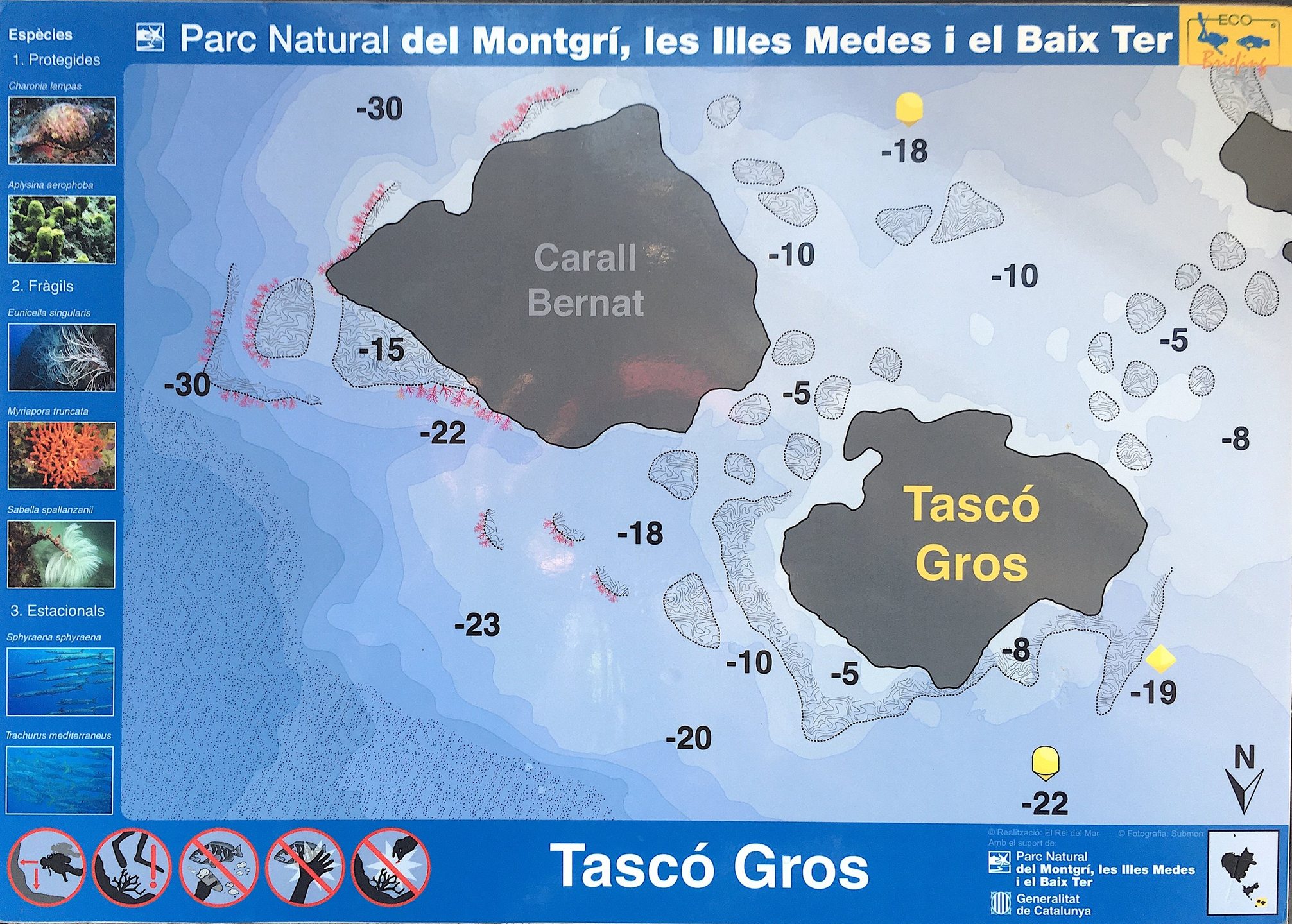 Tascó Gros photo 2
