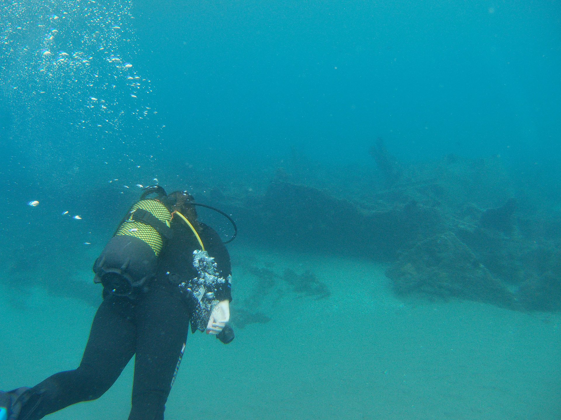 Barco del Arrroz photo 2