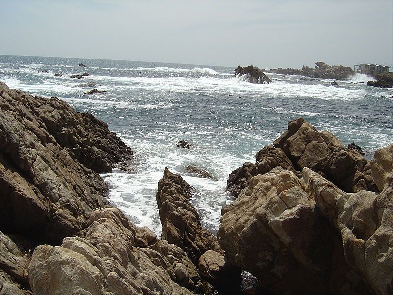Coral Gardens photo 3