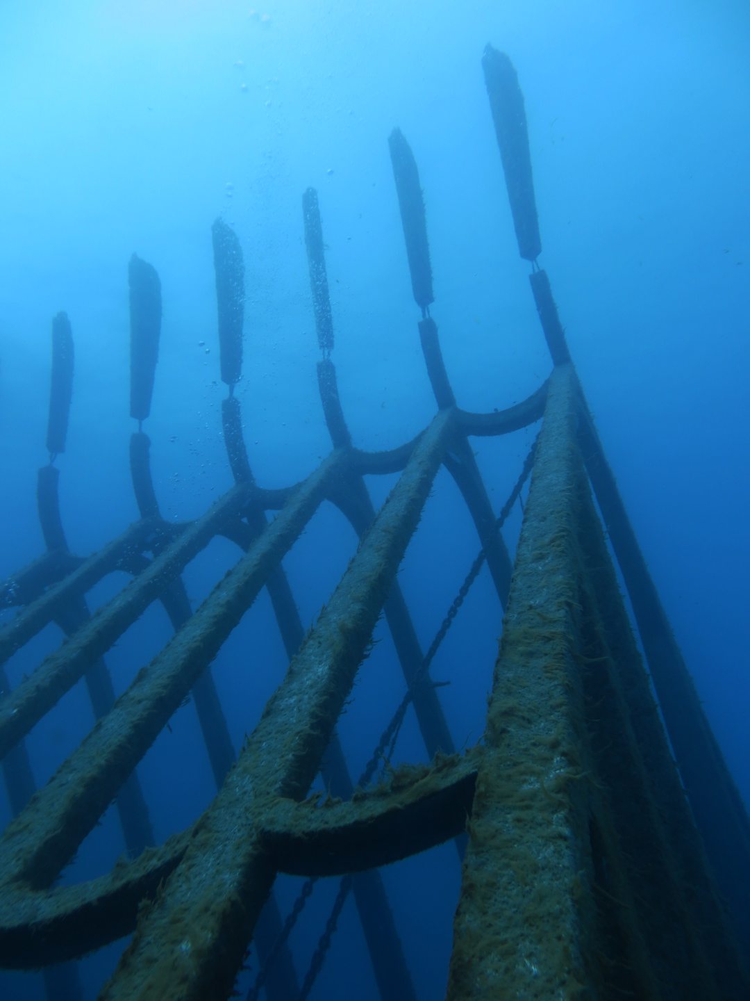 Museum of Underwater Art (MOUA) at John Brewer Reef