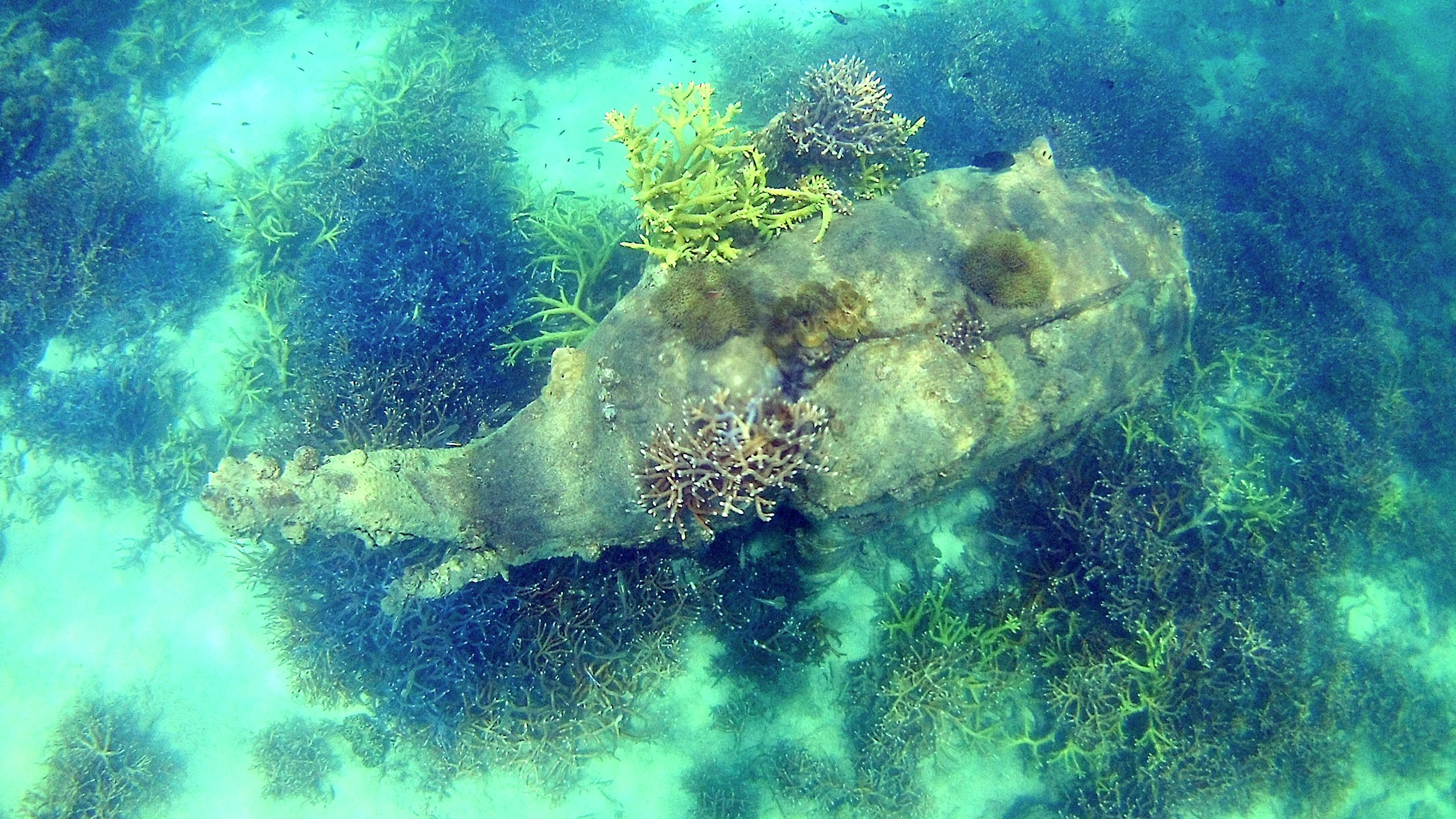 Koh Reath photo 2