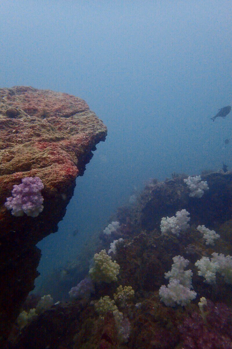 Buddha Island photo 2