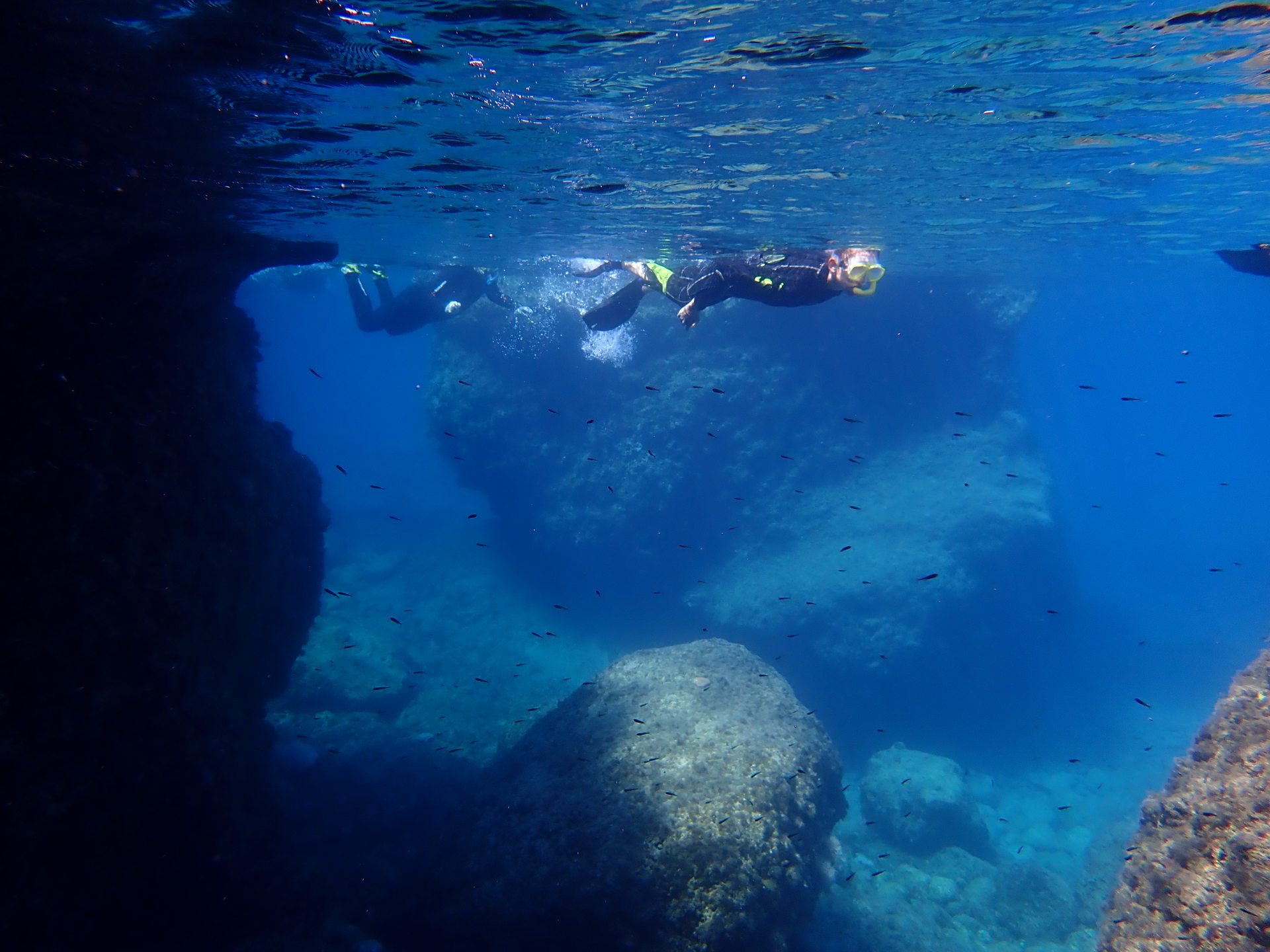 KASTRI photo 16