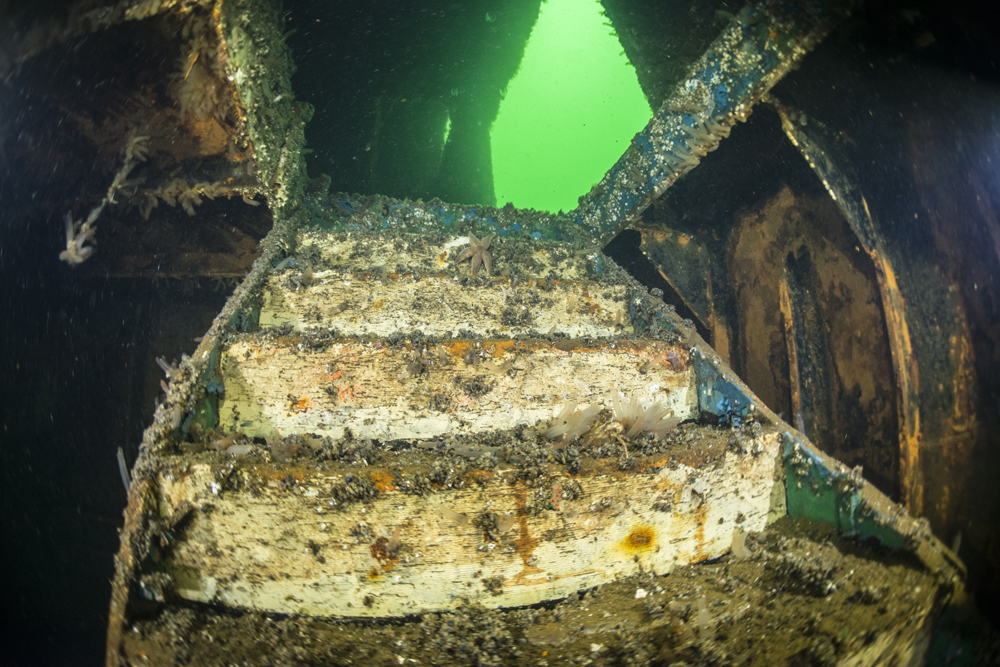 M/F Aerosund Ferry photo 5