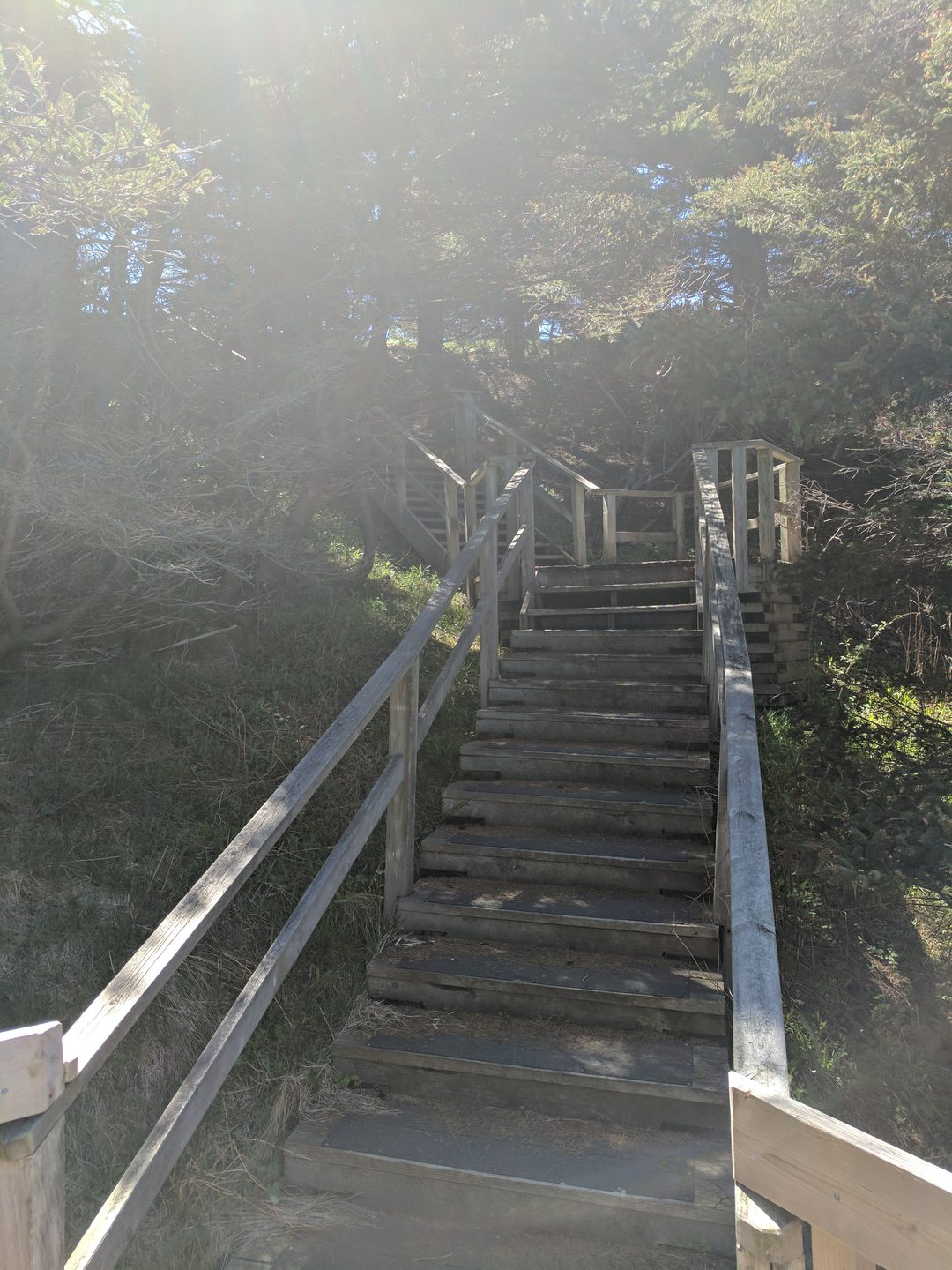 Smugglers Cove