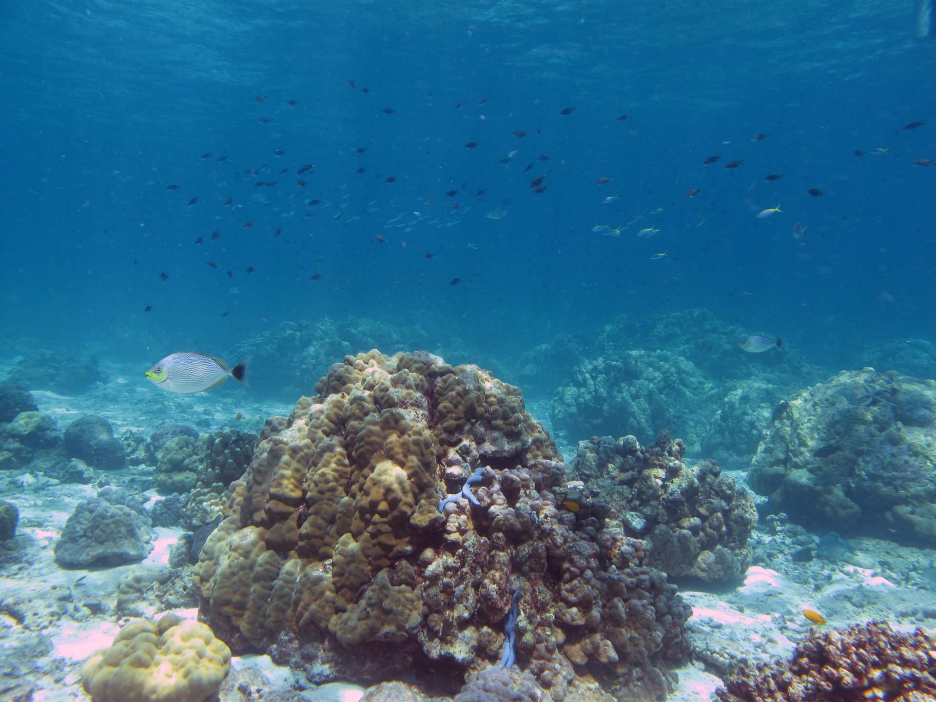 Koh Ha Lagoon photo 2
