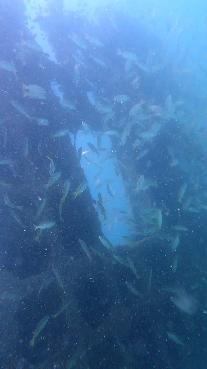 Humsi Wreck photo 2