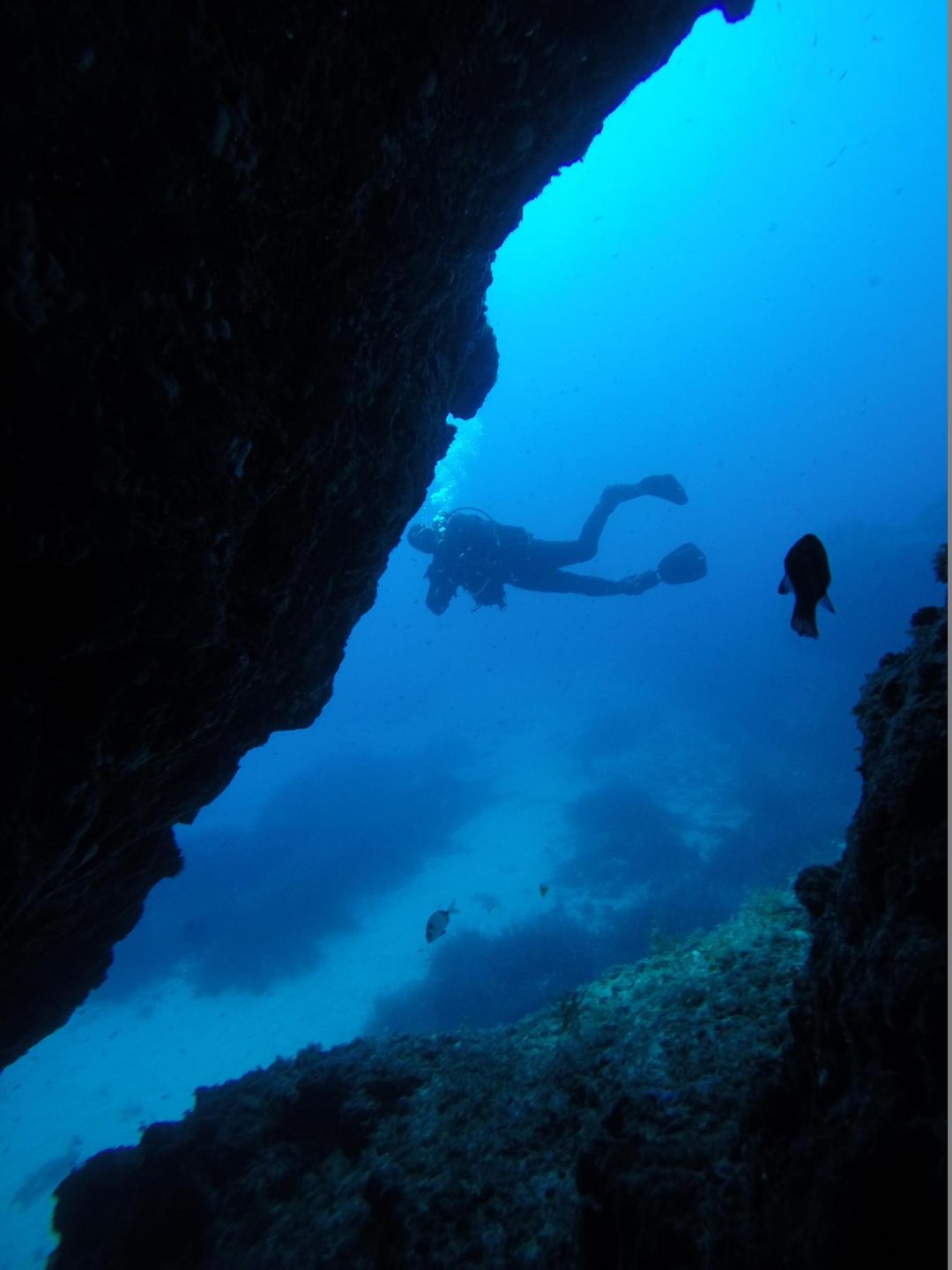 Wied iz-Zurrieq (Blue Grotto) photo 2