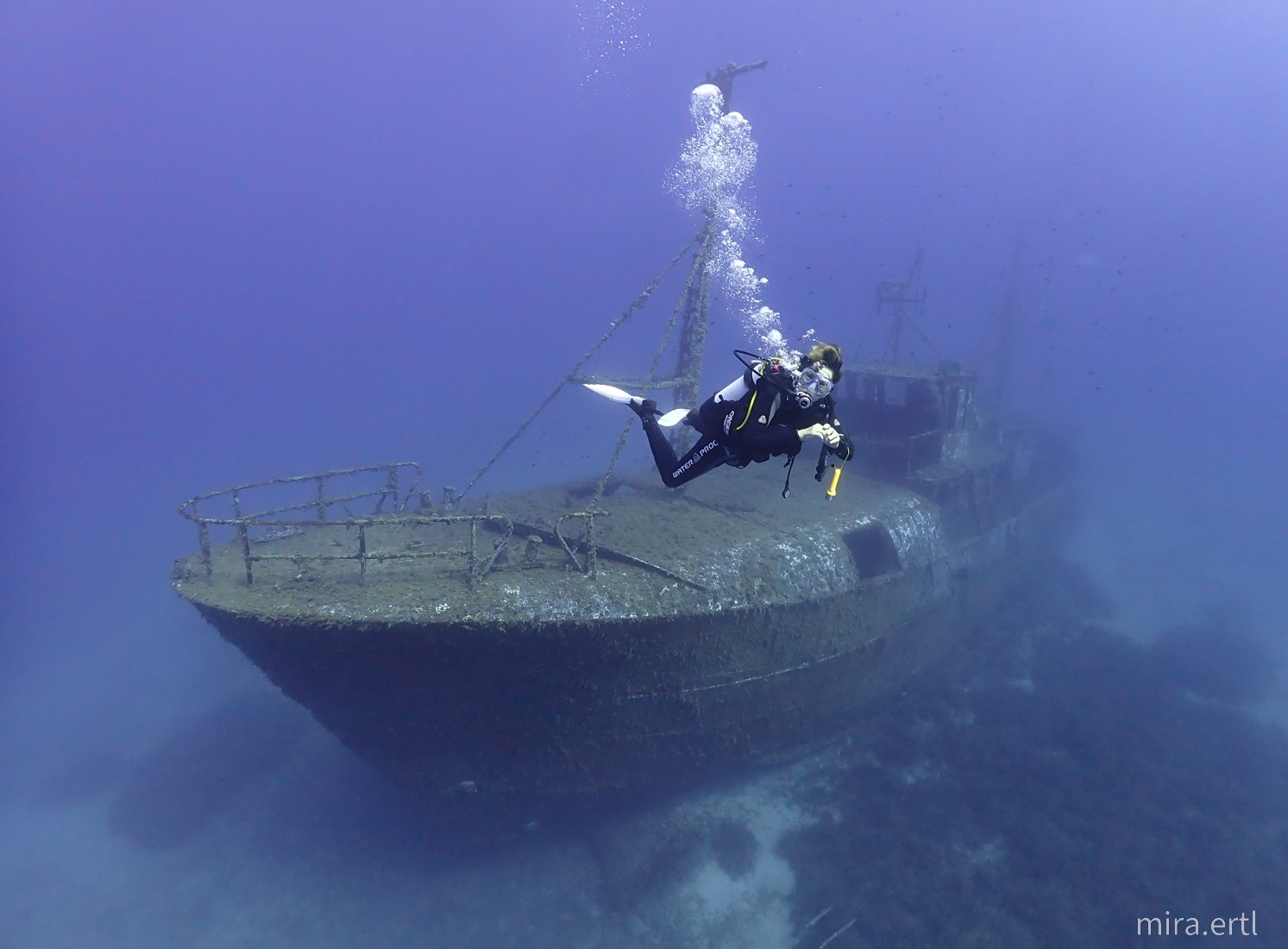Nemesis wreck photo 3