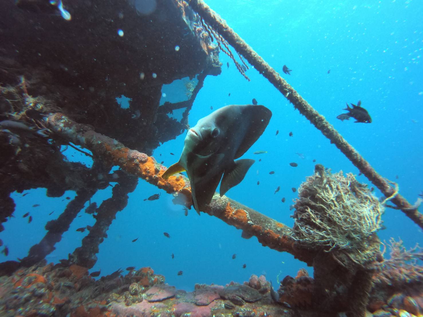 HTMS Chang wreck photo 7