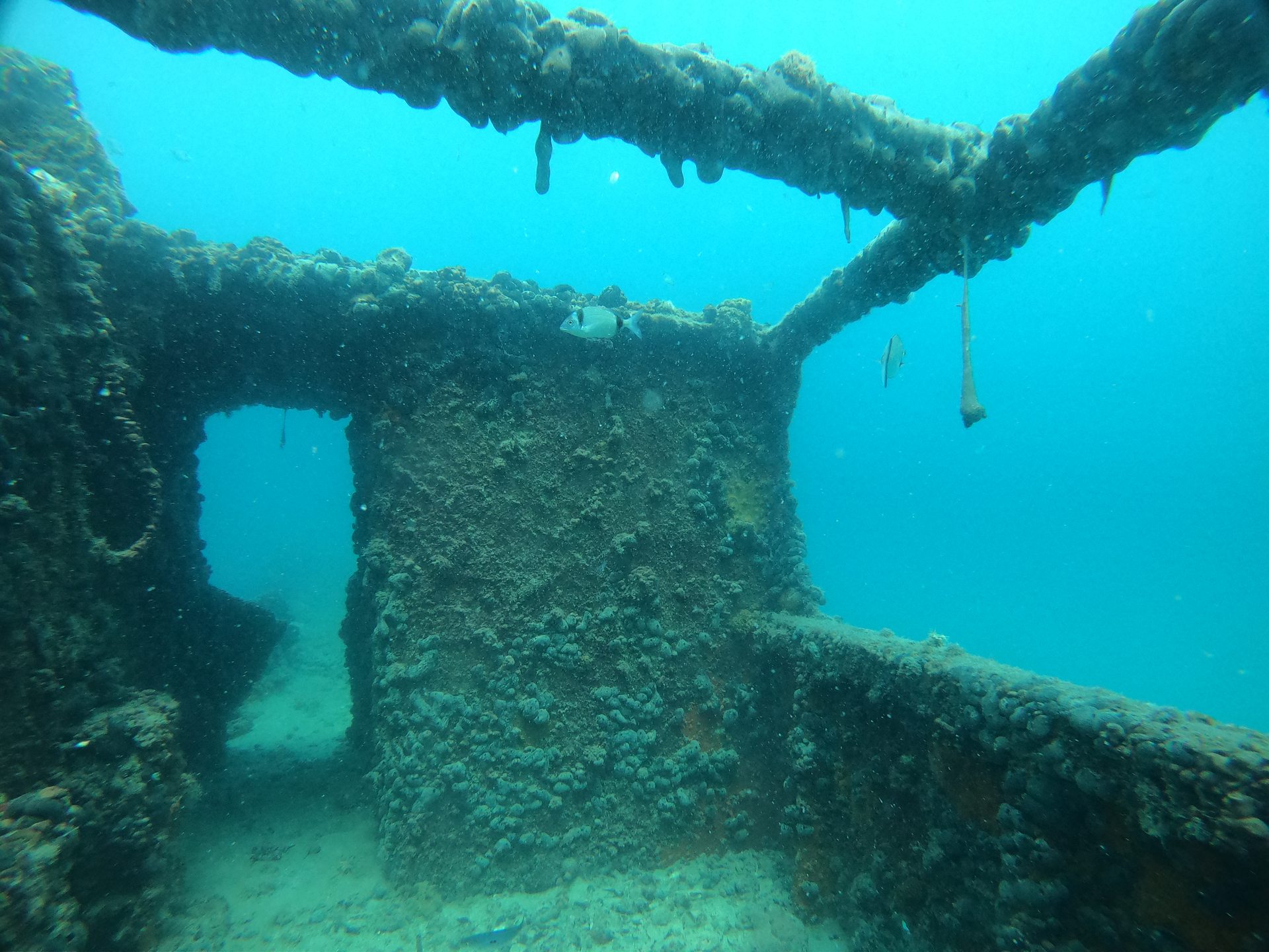 Shipwreck "Cretaland" photo 2