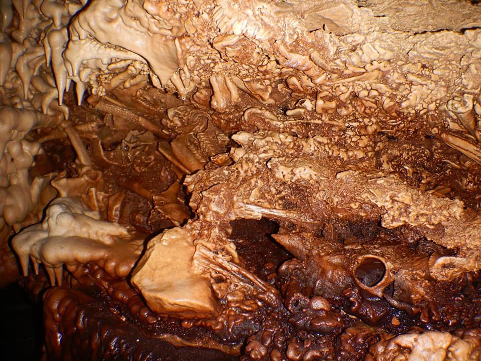 Cervi Cave photo 2