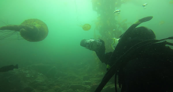 Breakwater / San Carlos Beach
