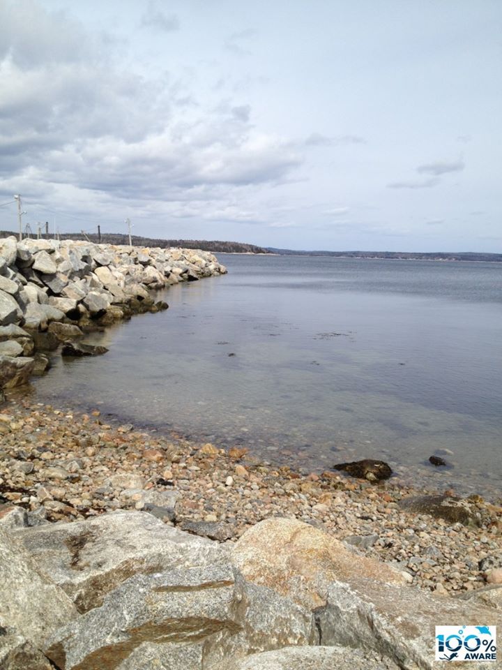 Mill Cove Wharf Jetty Side photo 2