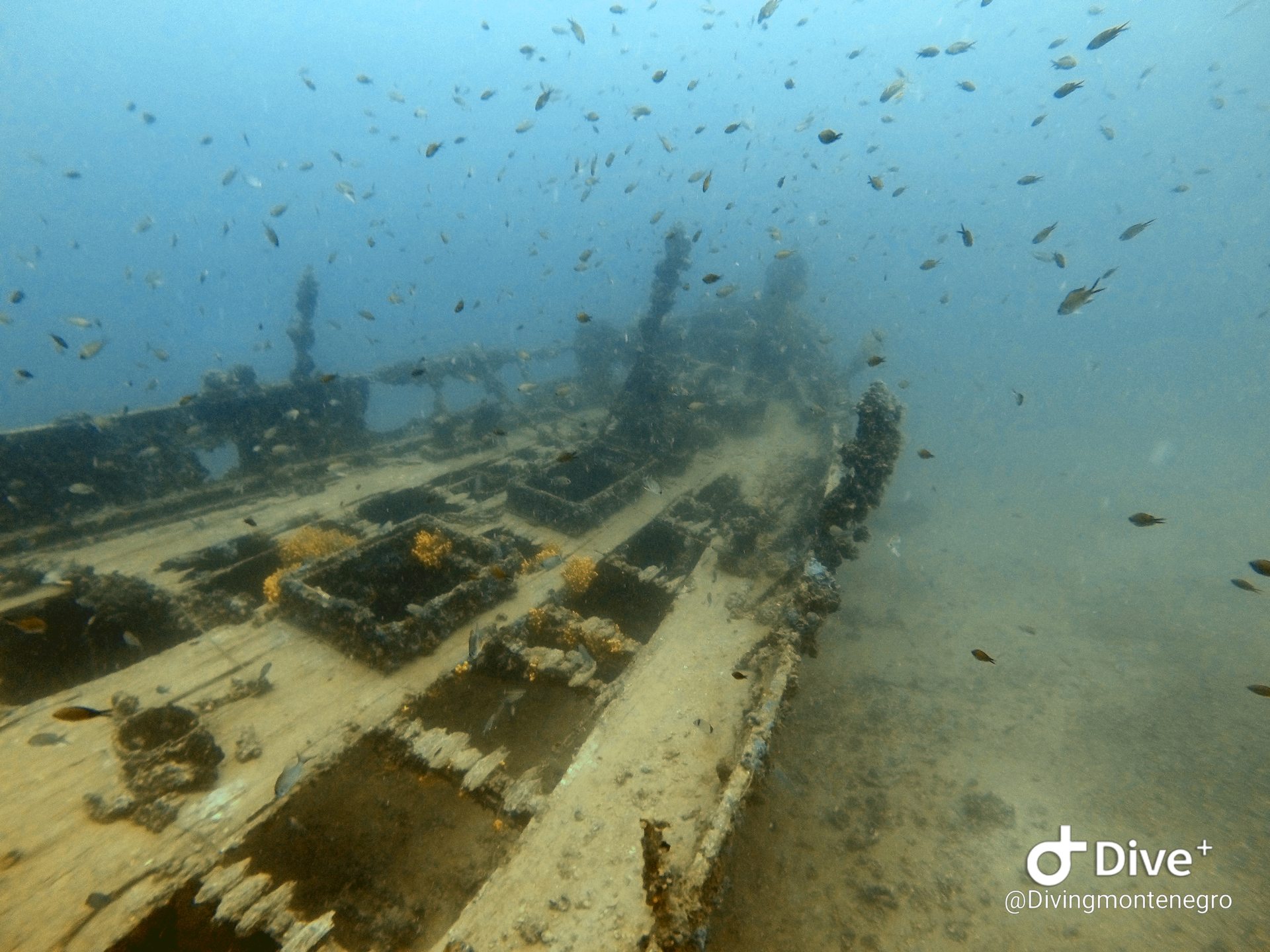 Tihani Shipwreck photo 16