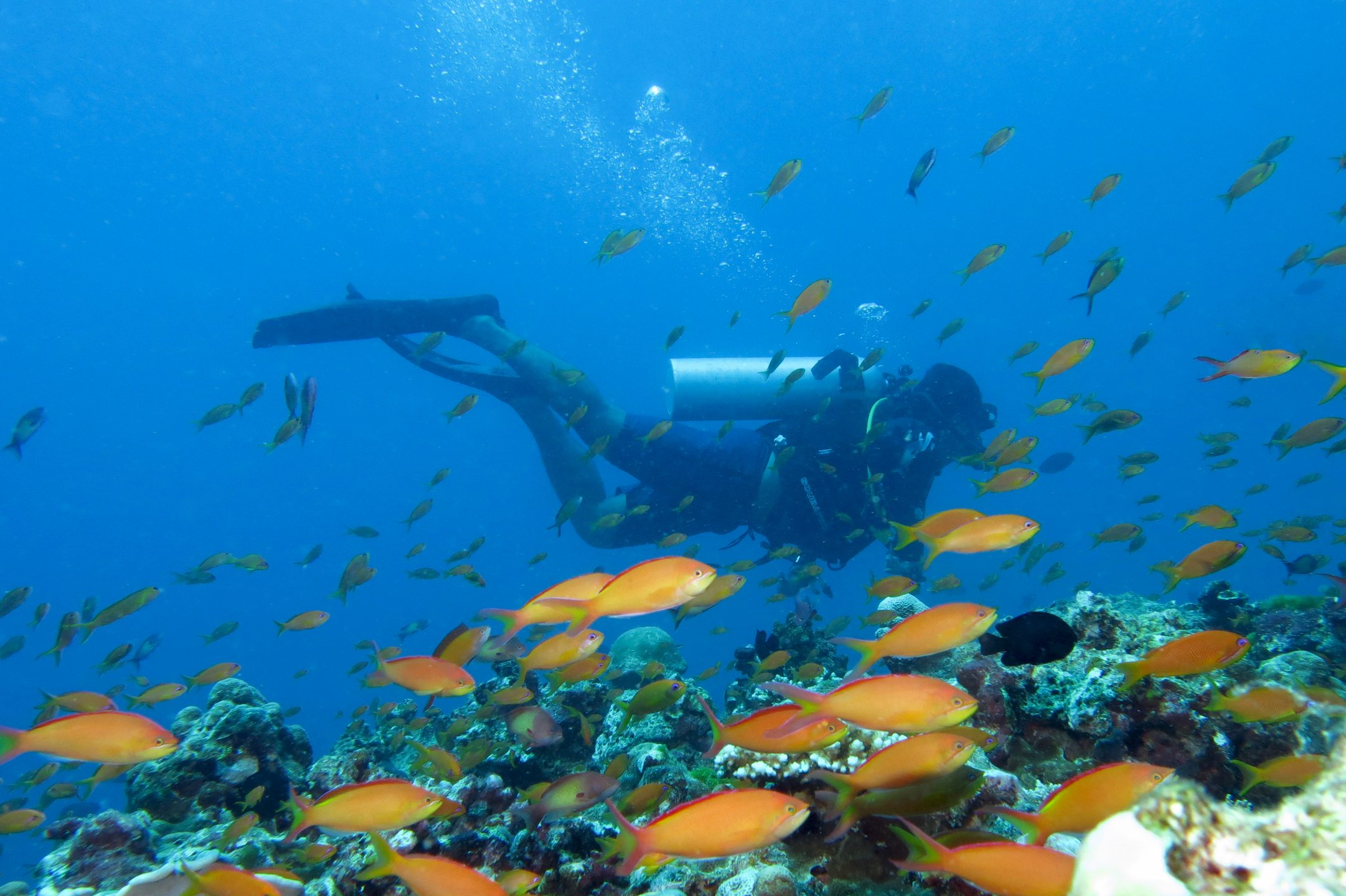 Rasdhoo Channel