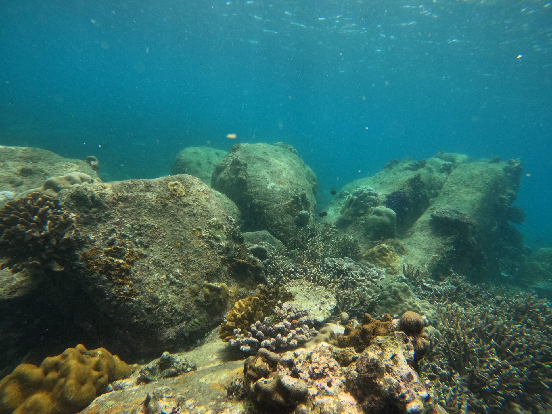 Pigeon Island back side