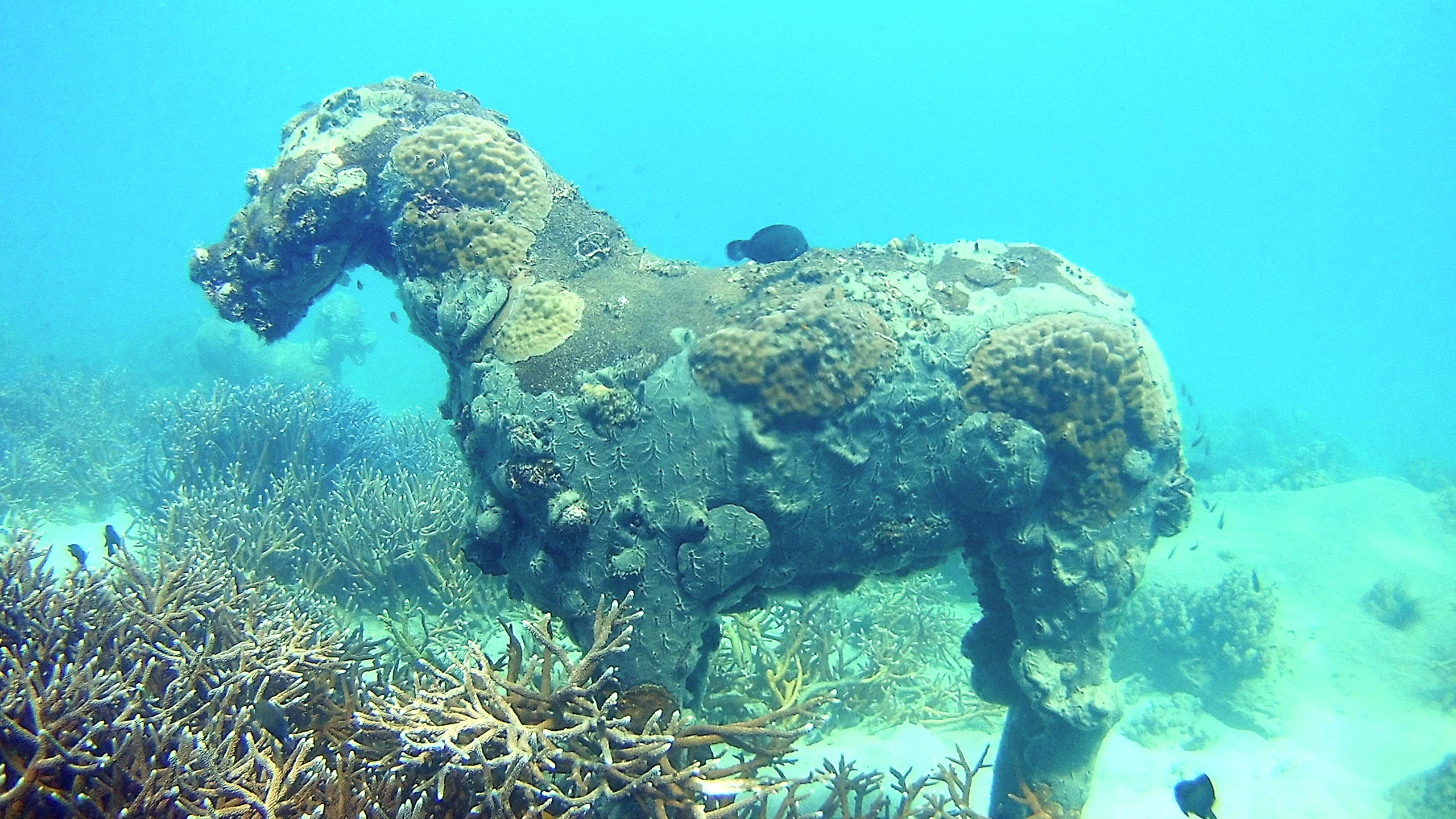 Koh Reath photo 4