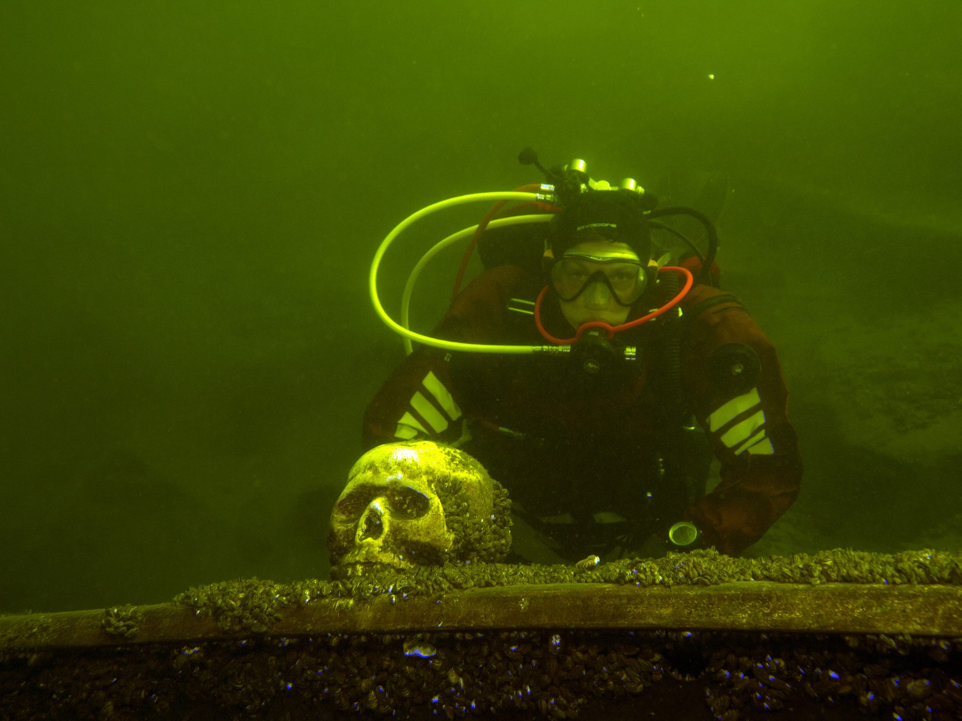 ProDive - Der Tauchplatz photo 4