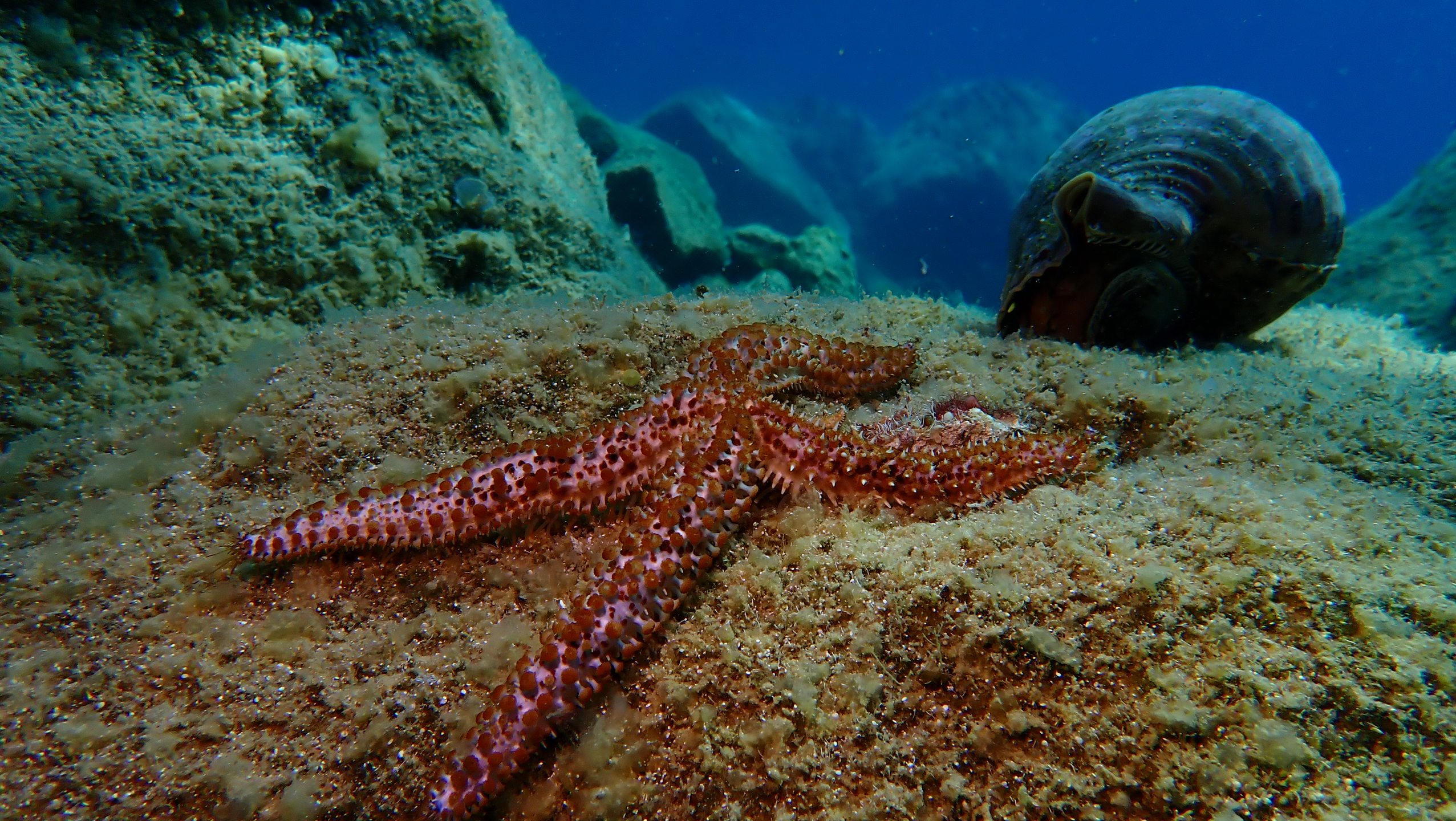 Agios Savvas photo 2