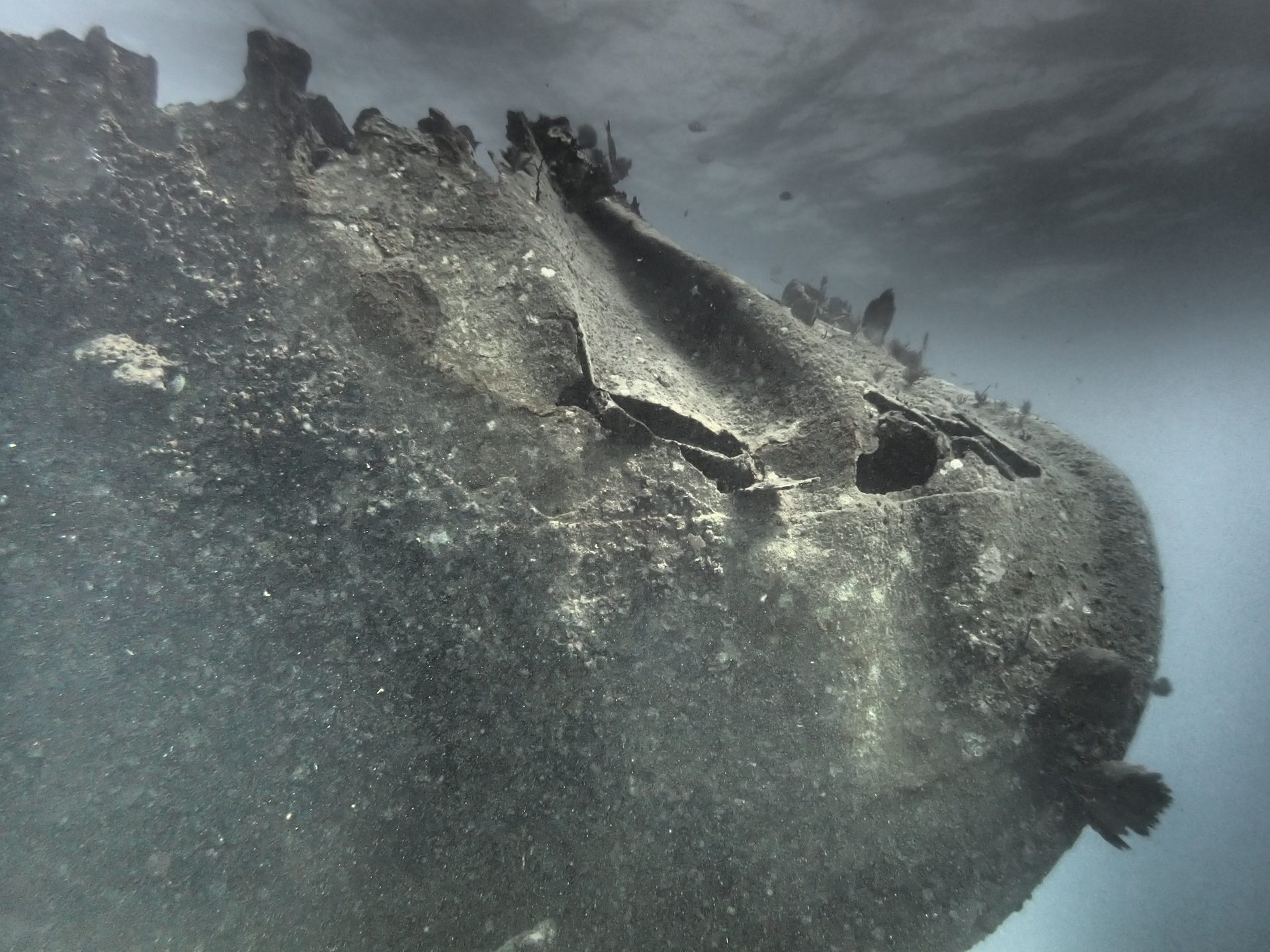 Benwood Shipwreck photo 2