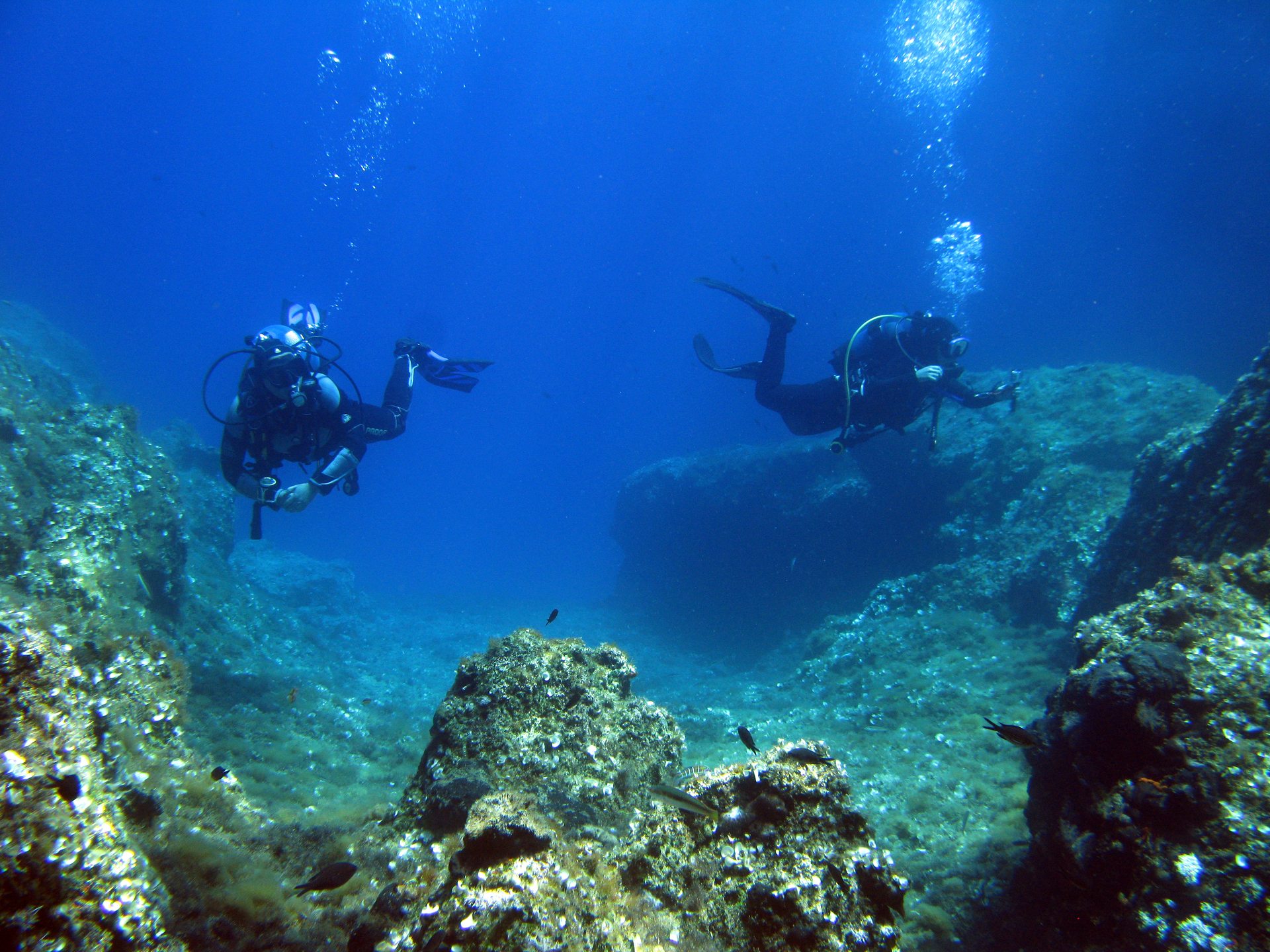 Seals cave
