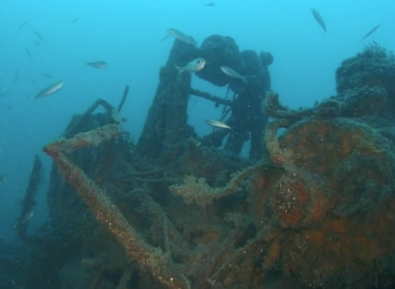 Stella Maris/Ferro