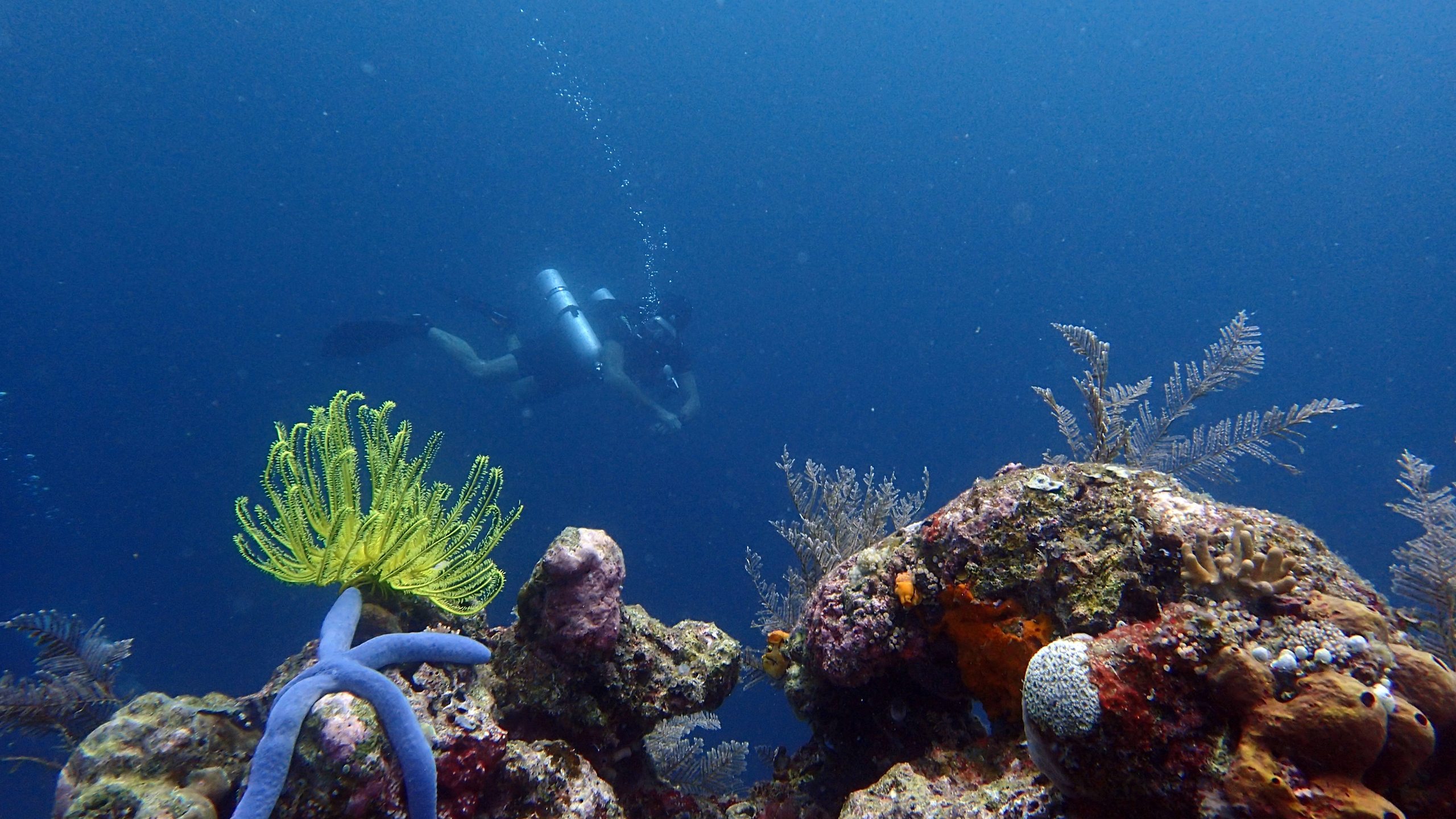 Coral Reef Resort photo 2