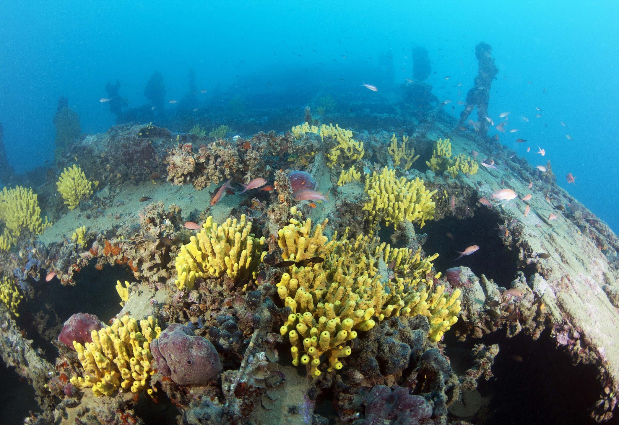 Tihani Shipwreck photo 7