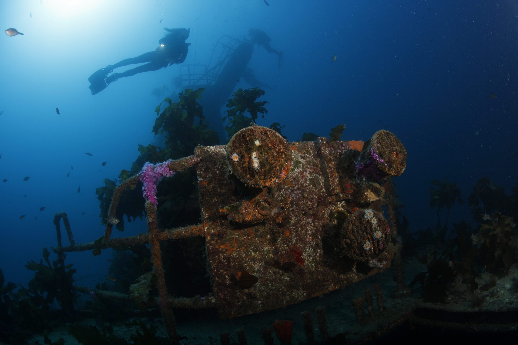 Canterbury Wreck photo 2