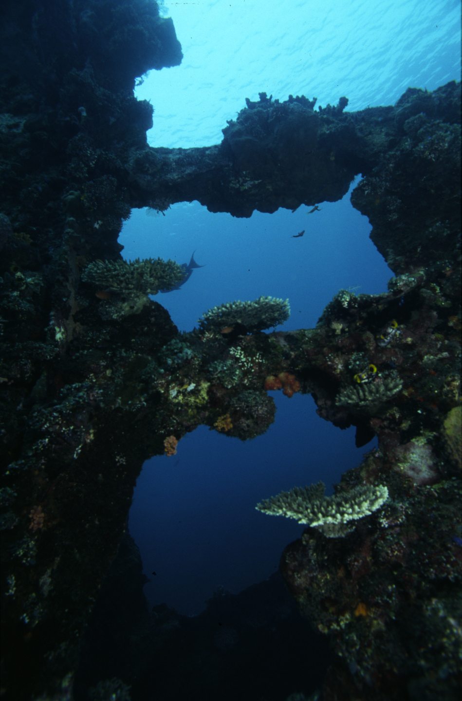 USAT Liberty Shipwreck photo 6