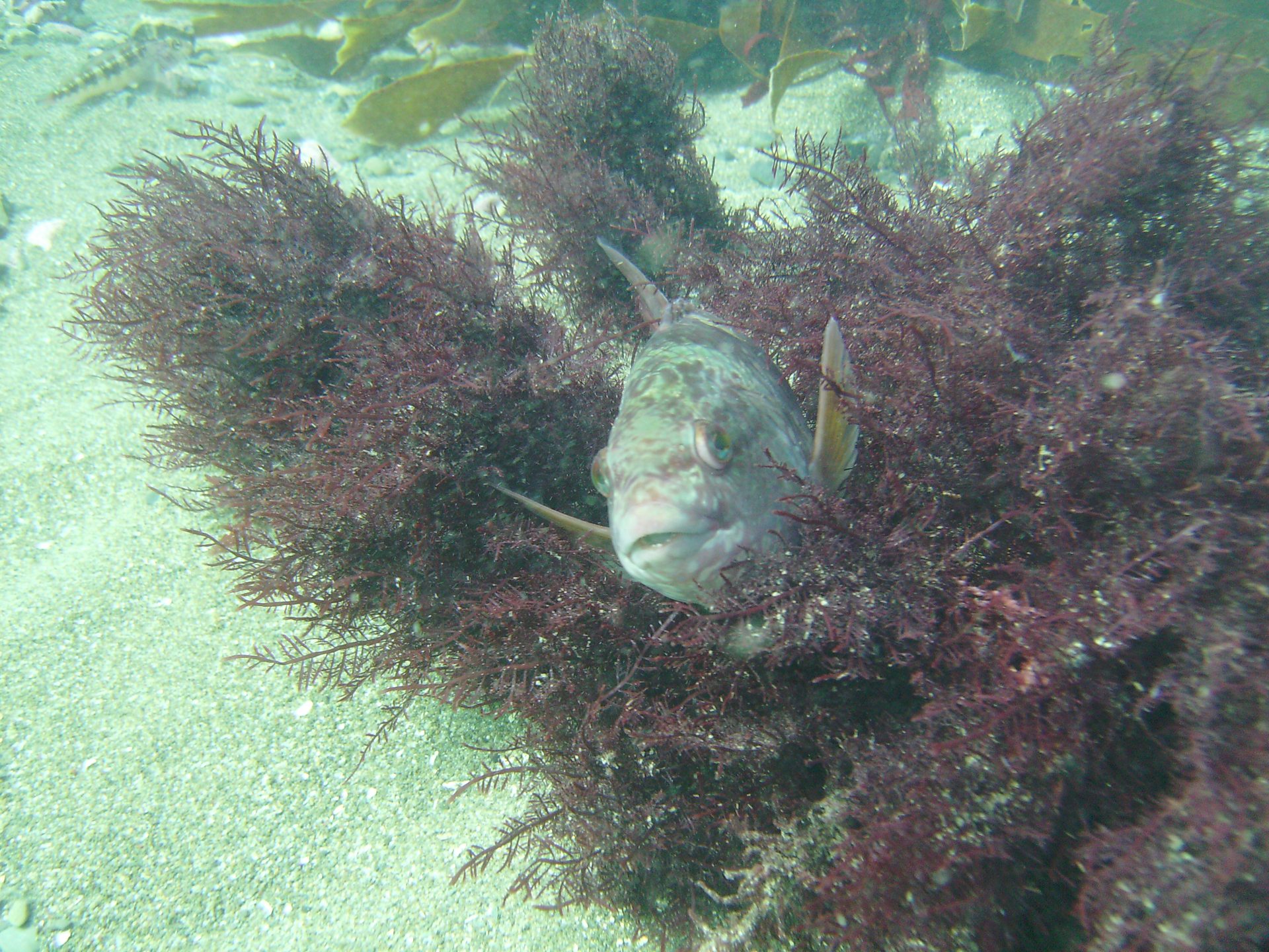 Princess Bay photo 6