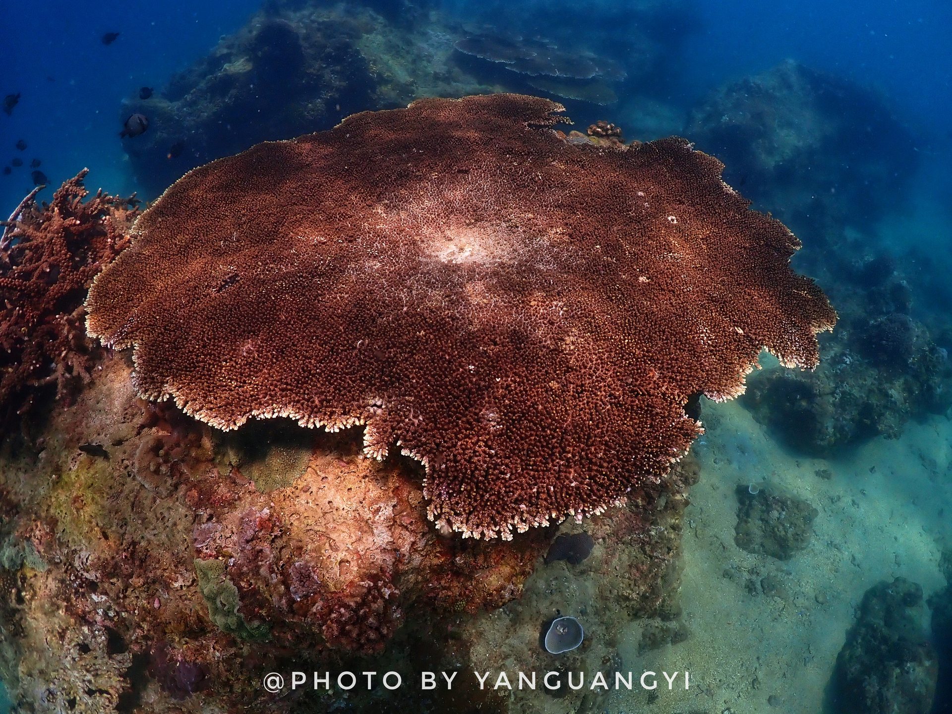 百福湾 photo 4