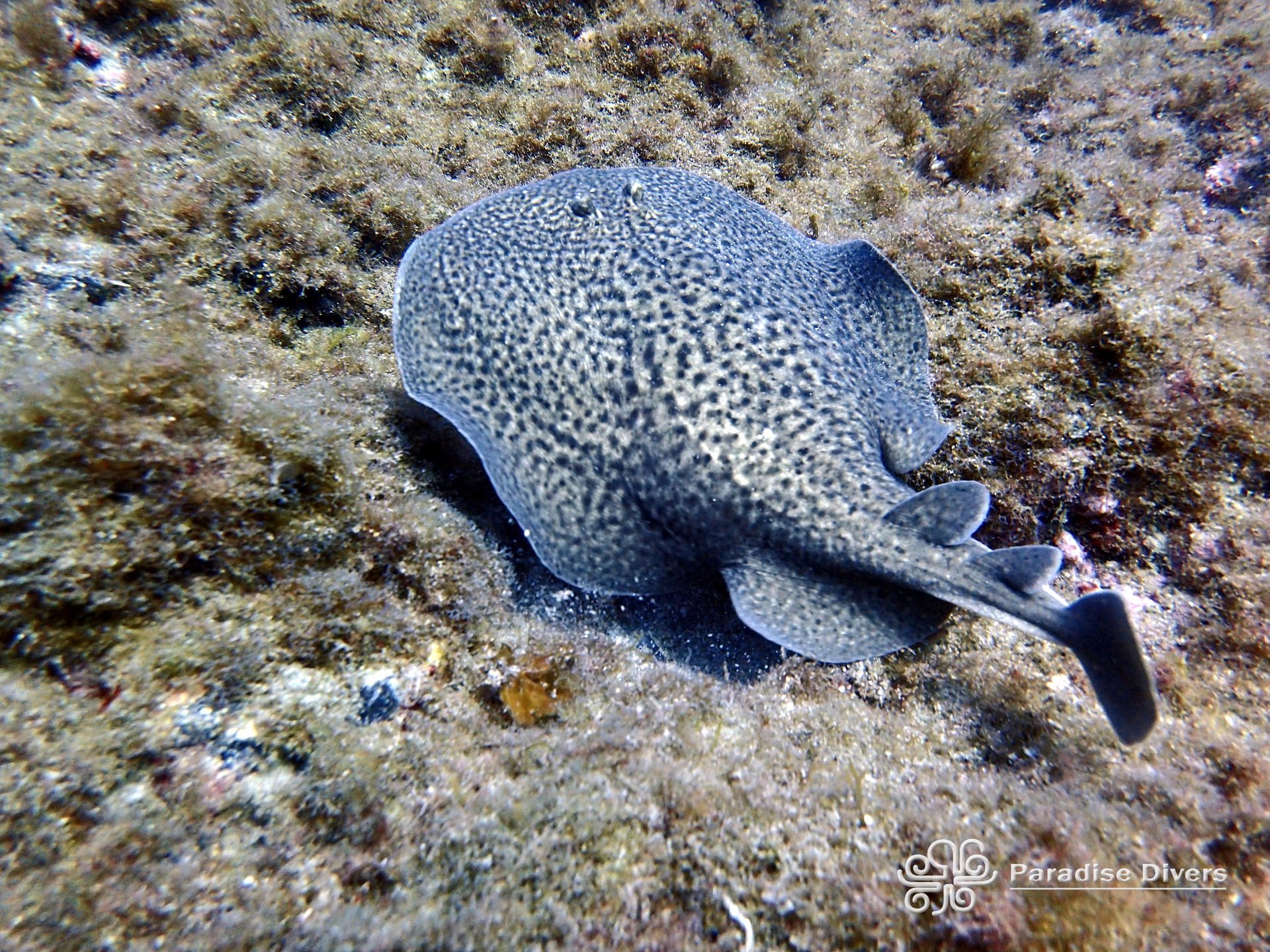 Punta Maravilla photo 2