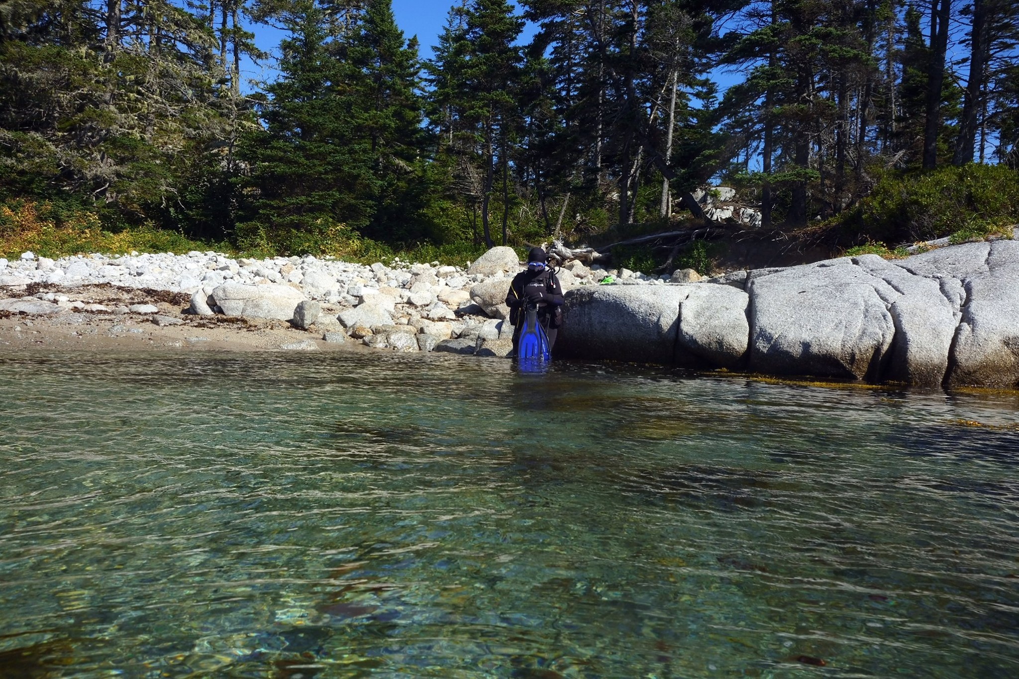 Admirals Point