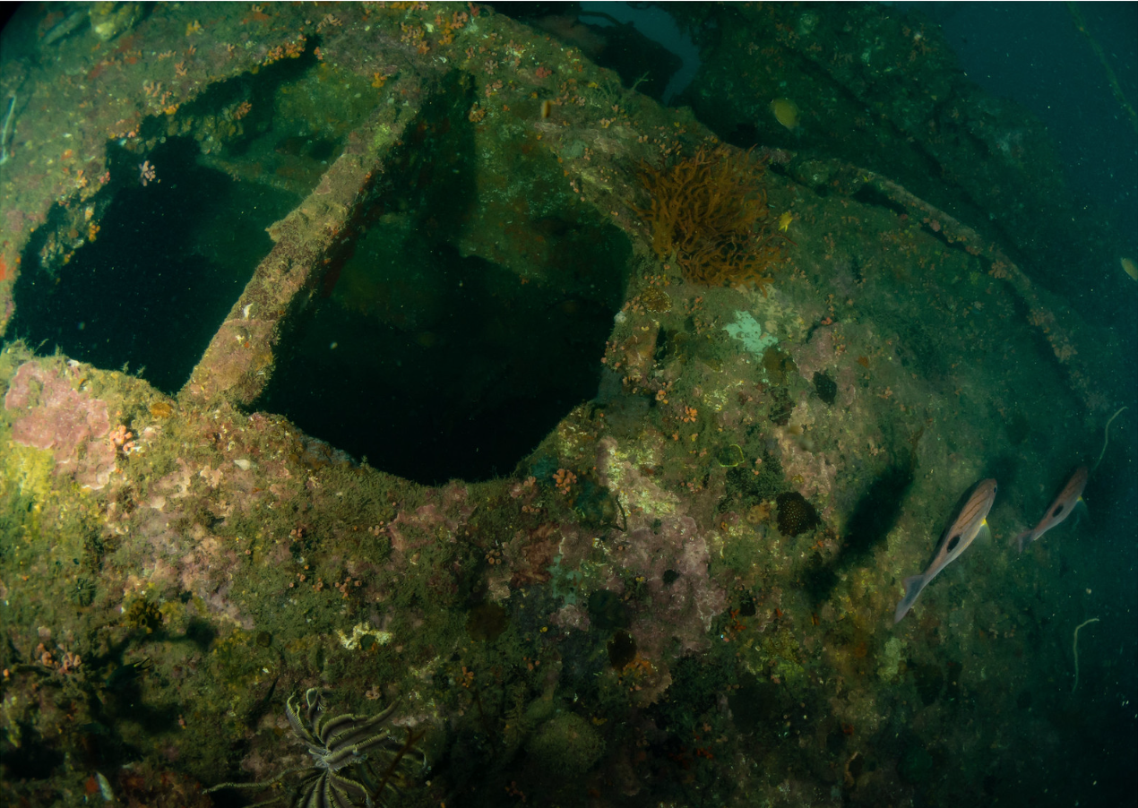 Inchkeith Wreck photo 3