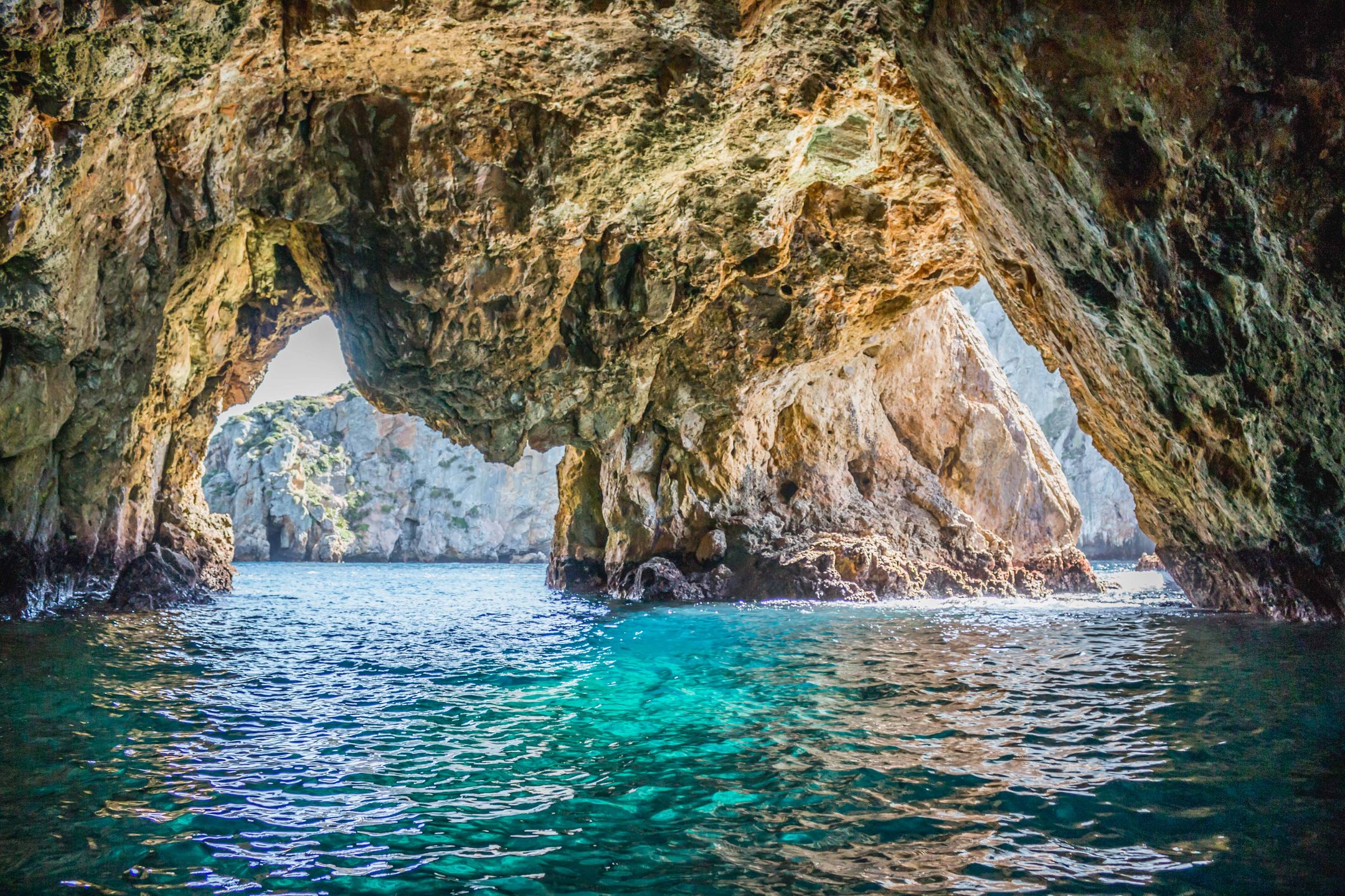 Blue Maomao Arch