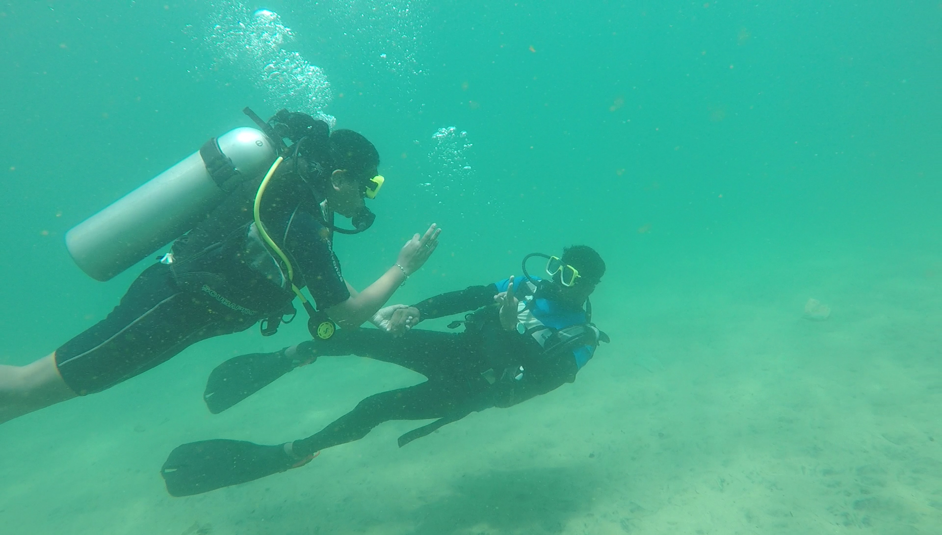 Puffer Paradise photo 3