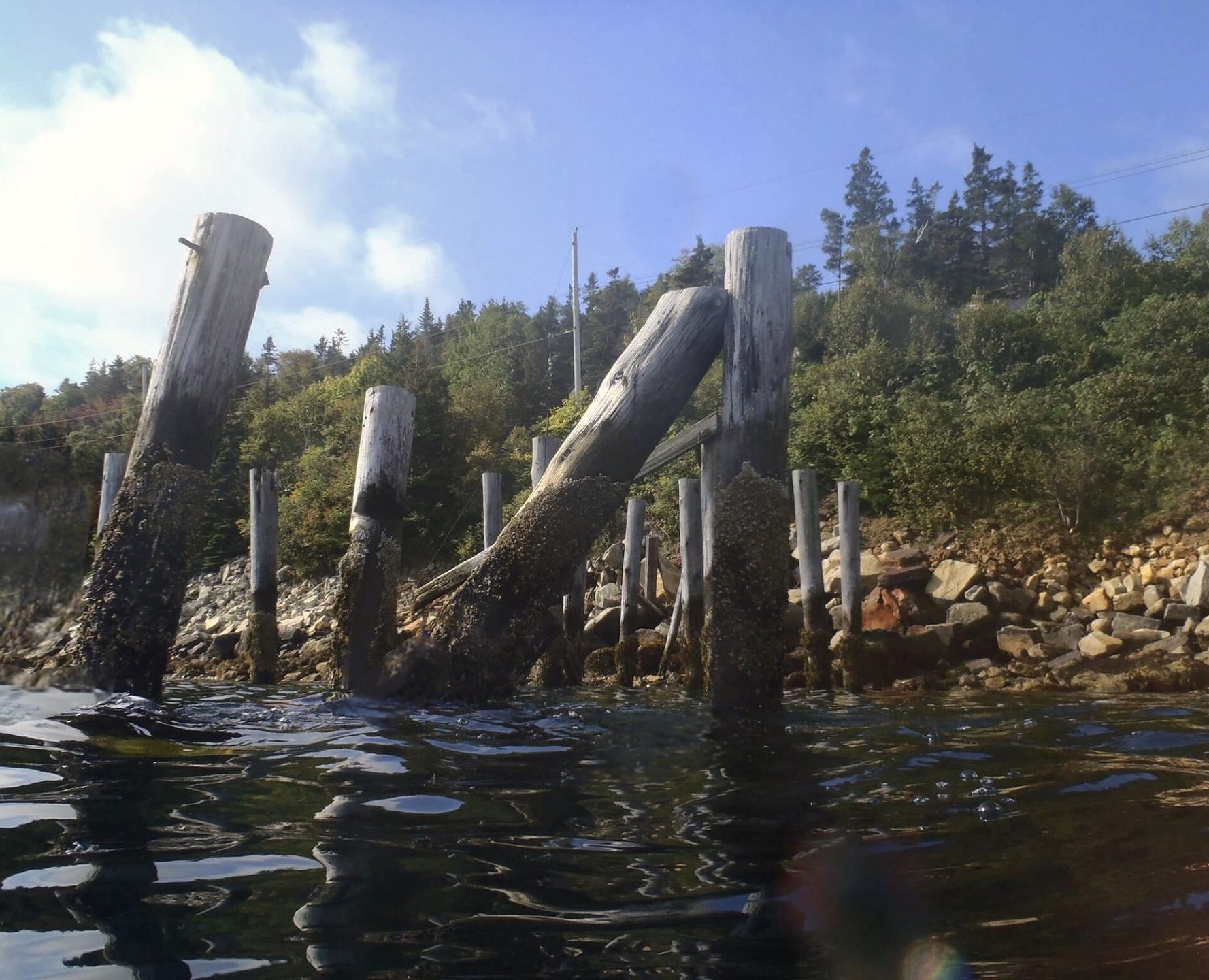 Ferguson's Cove photo 2