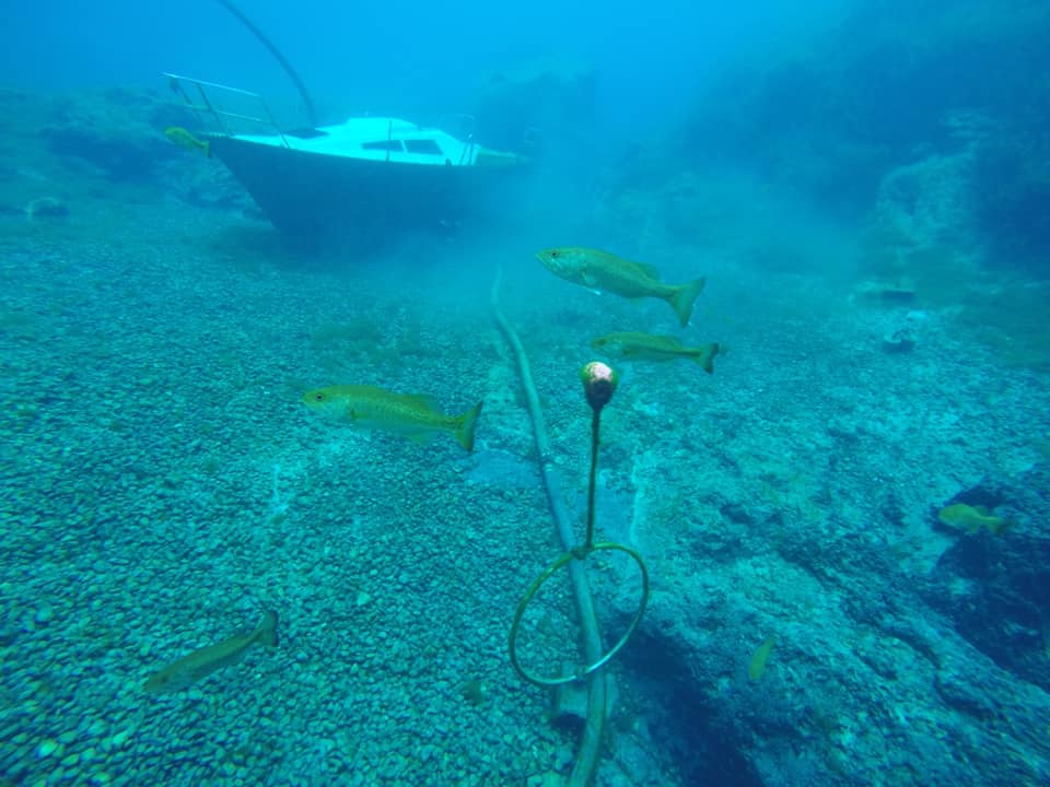 Vortex Spring photo 6