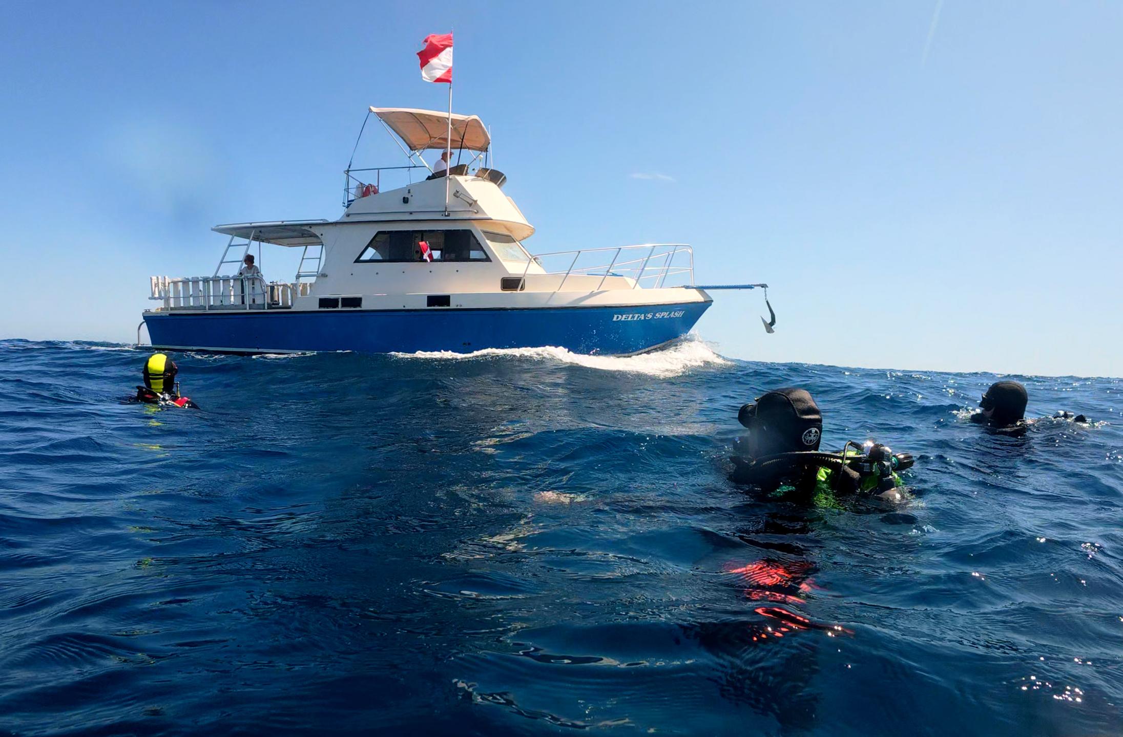 West Palm Beach Atlantic Ocean Diving