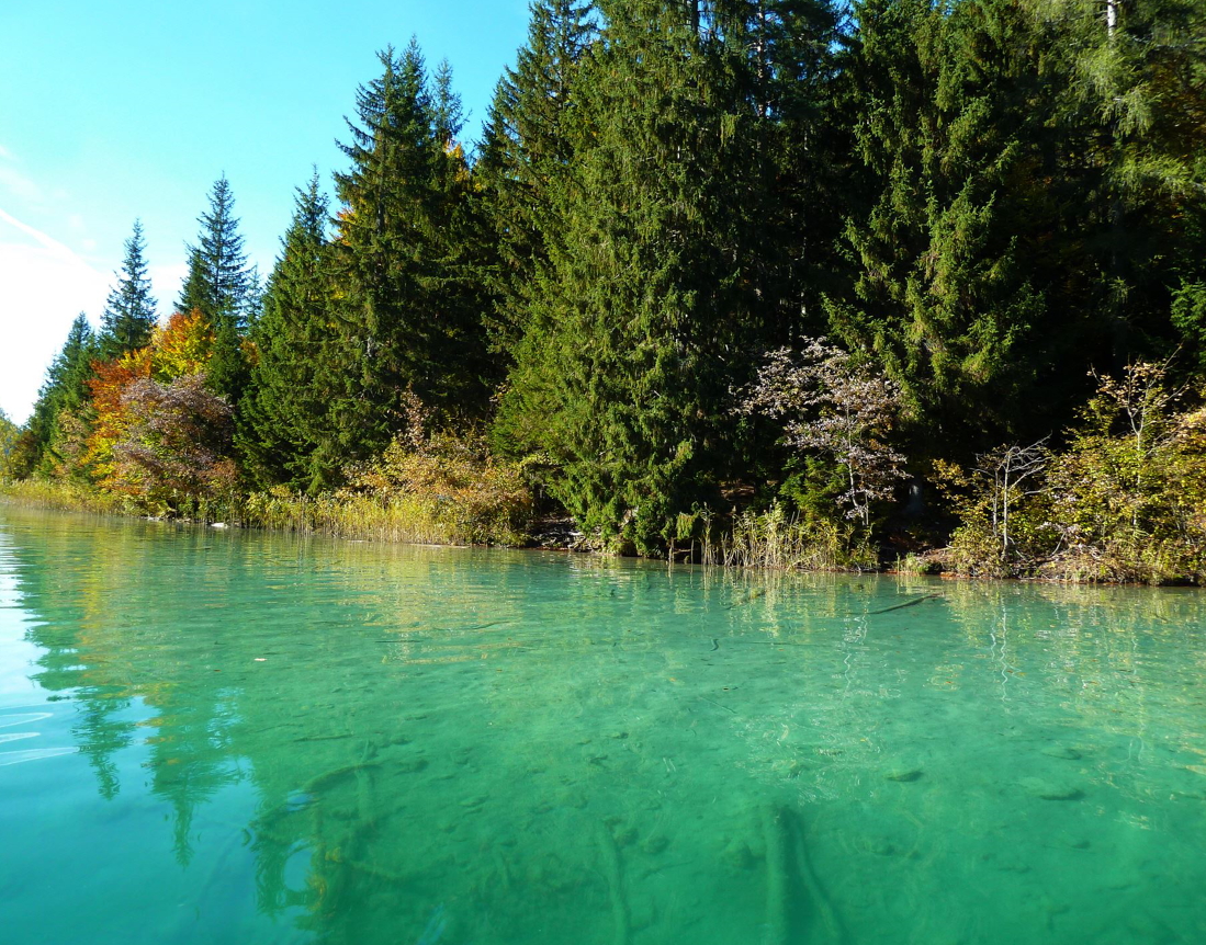 Grissini Bay photo 4