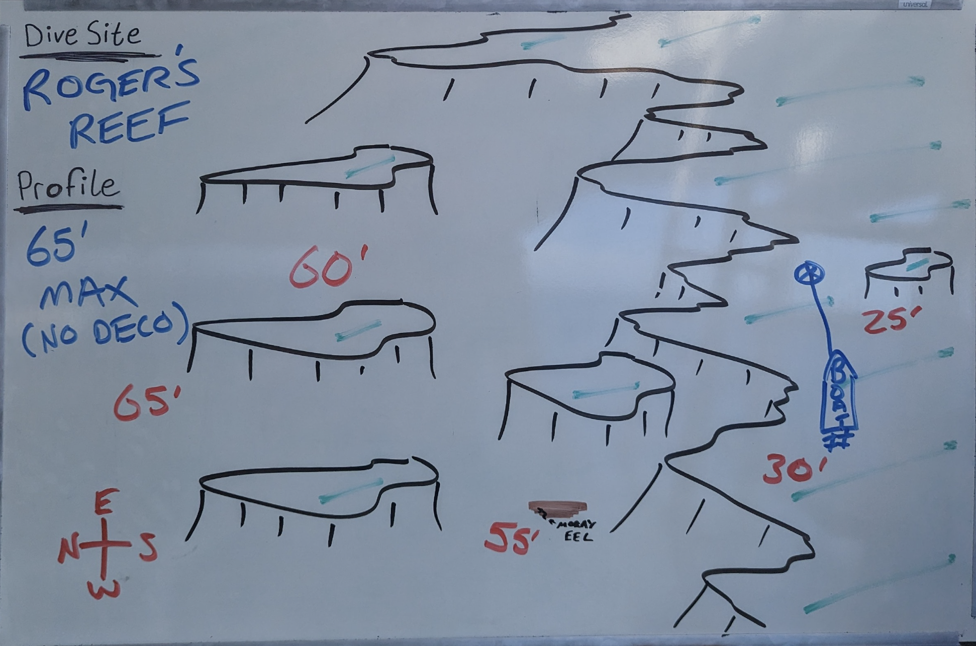 Roger's Reef photo 3