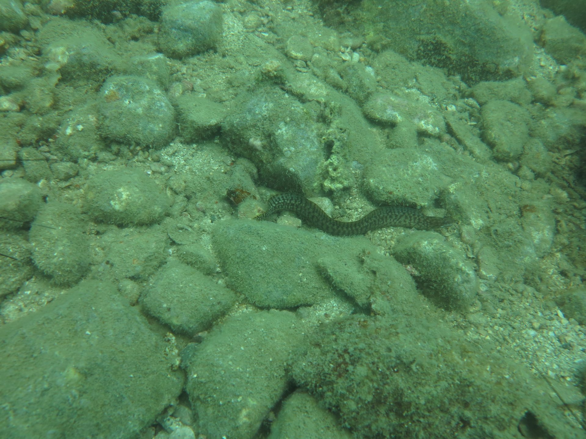 Cemetery Bay photo 2