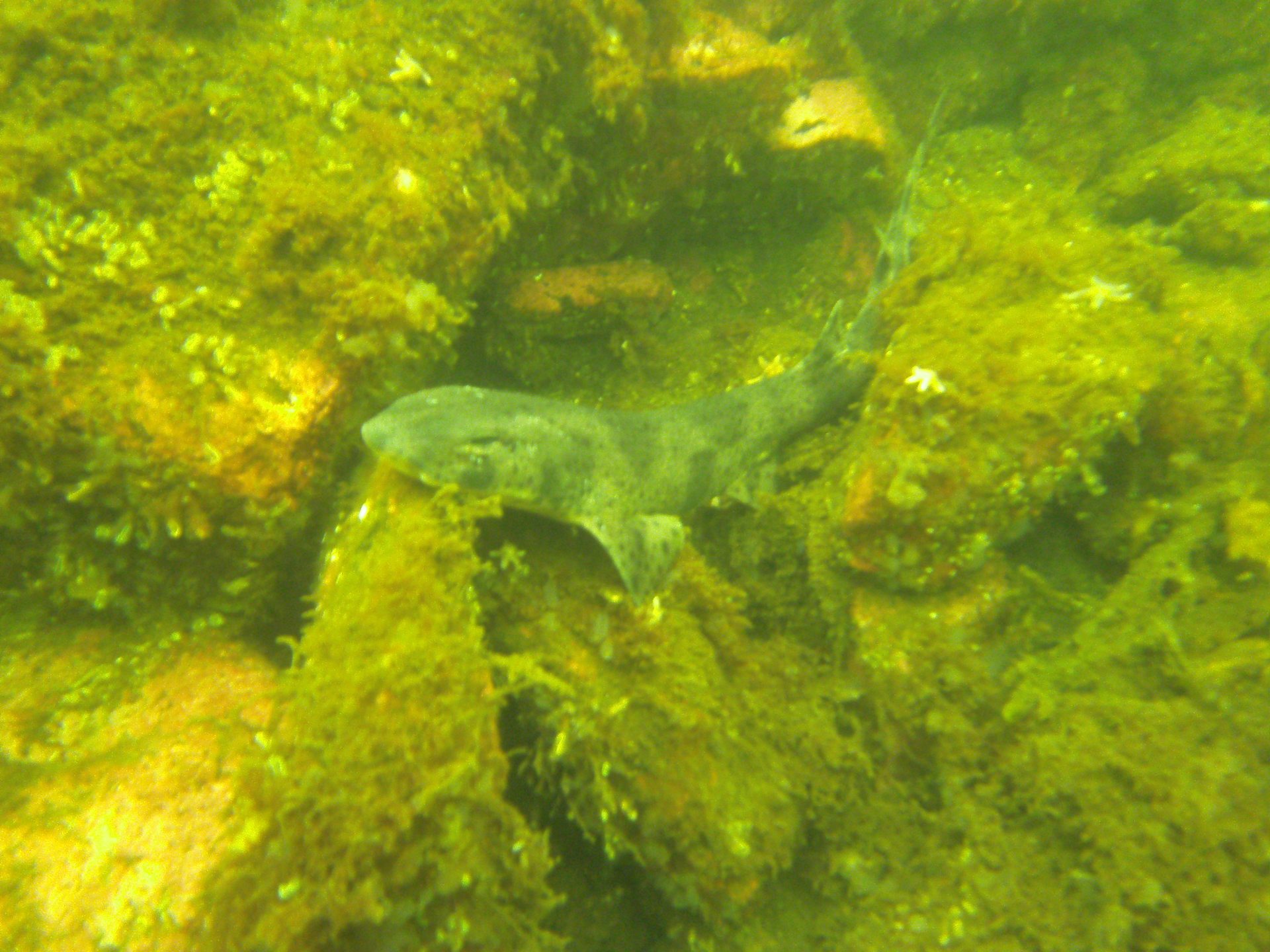 Craggen photo 7